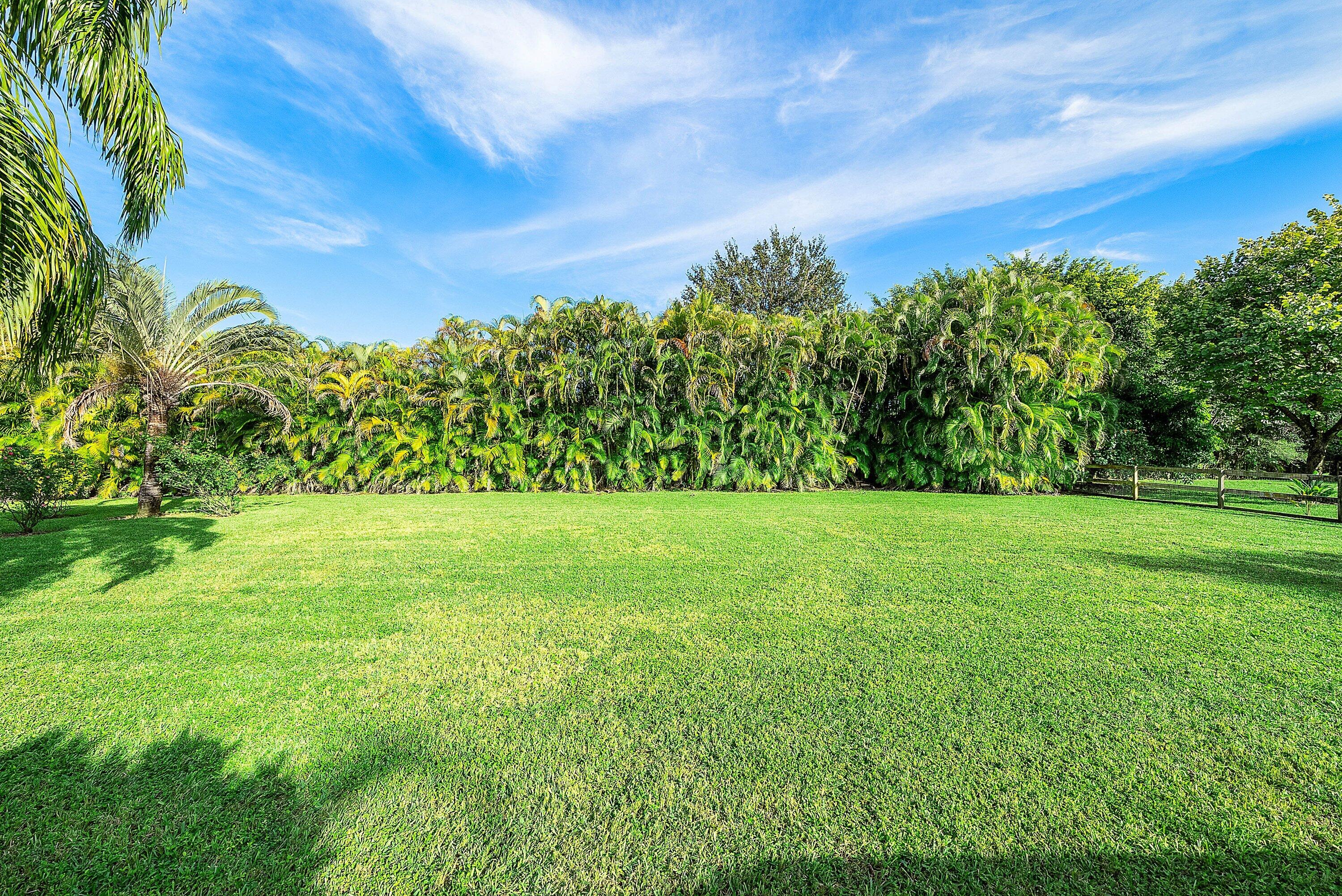 MLS #RX-11137544 image #6