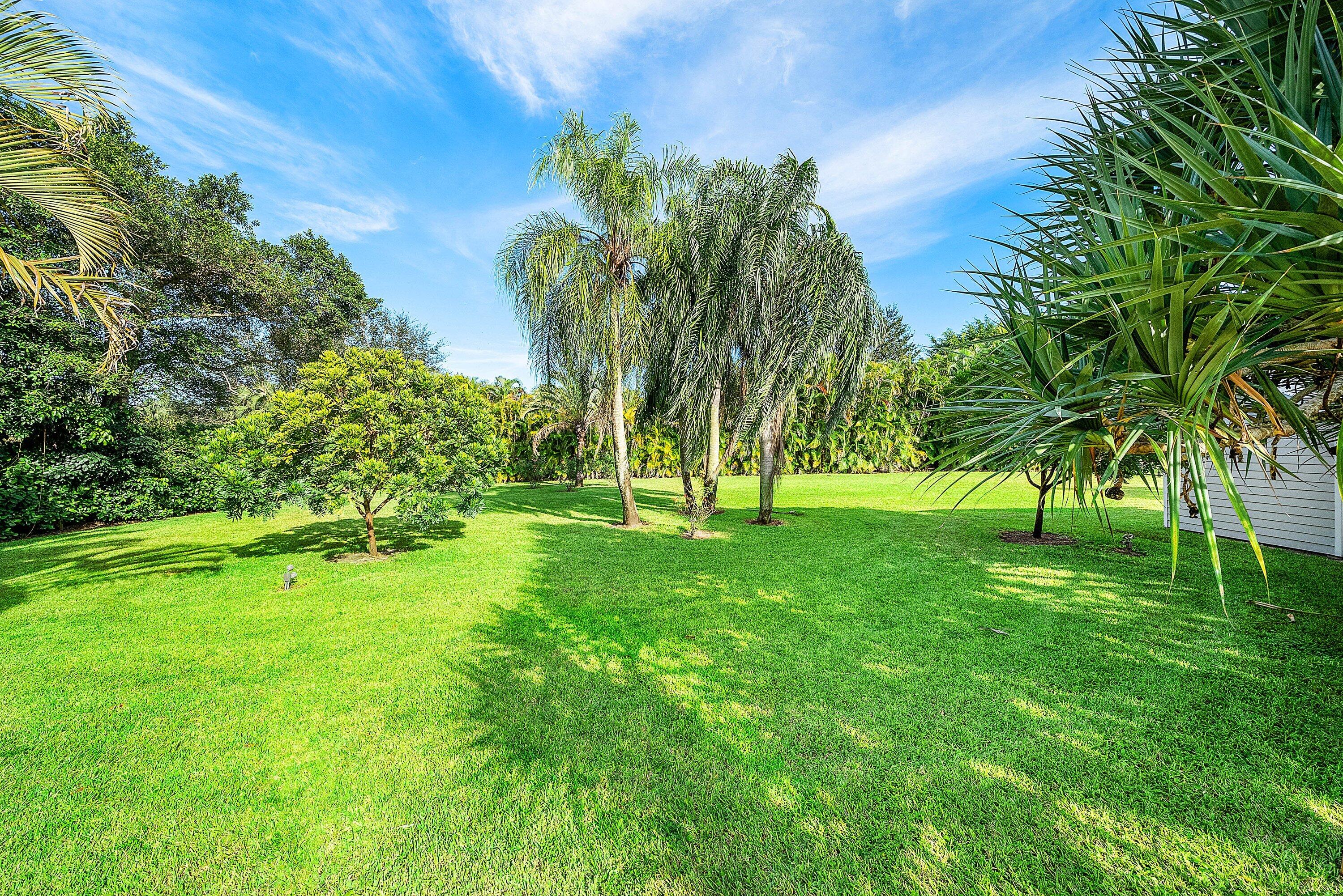 MLS #RX-11137544 image #7