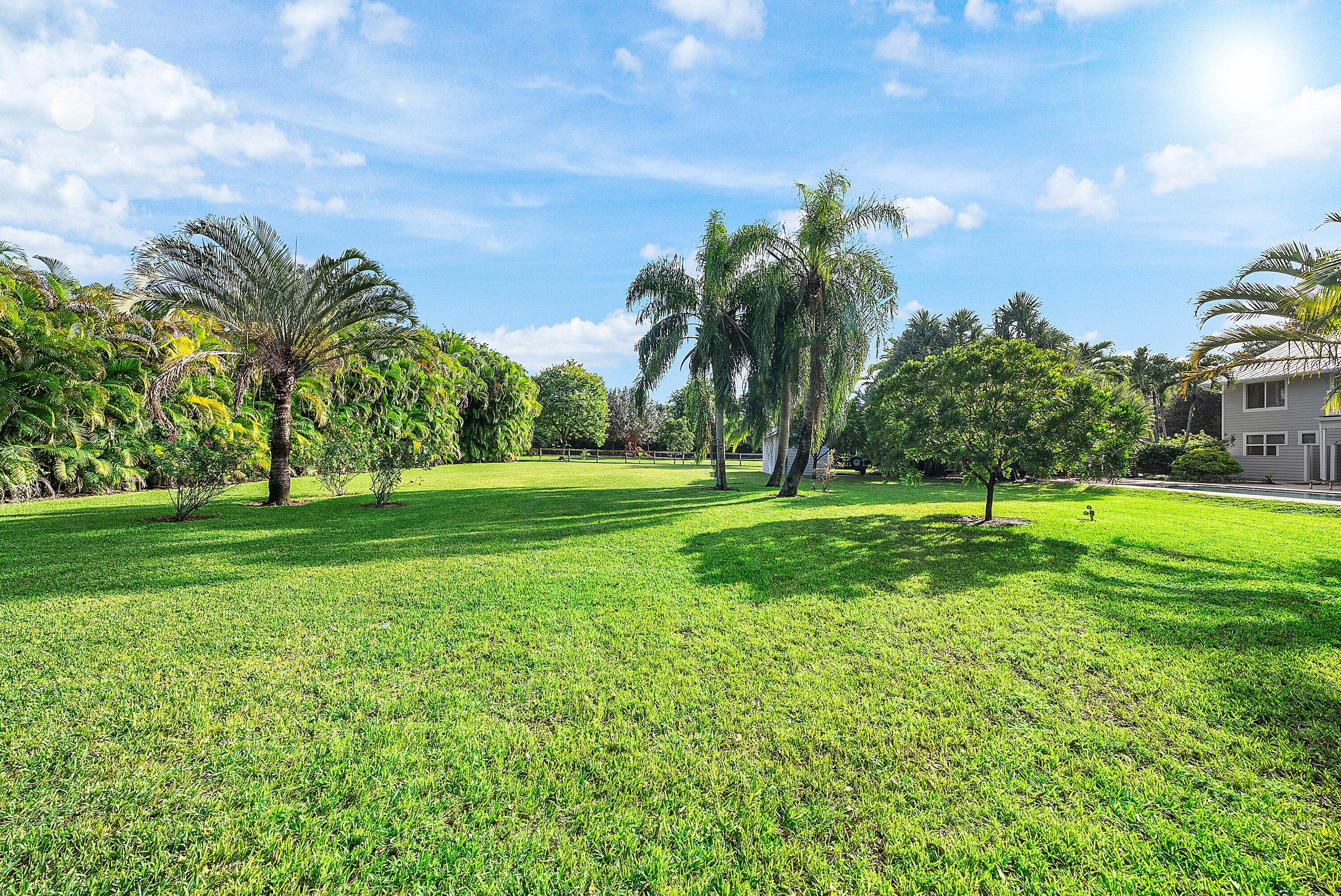 MLS #RX-11137544 image #9