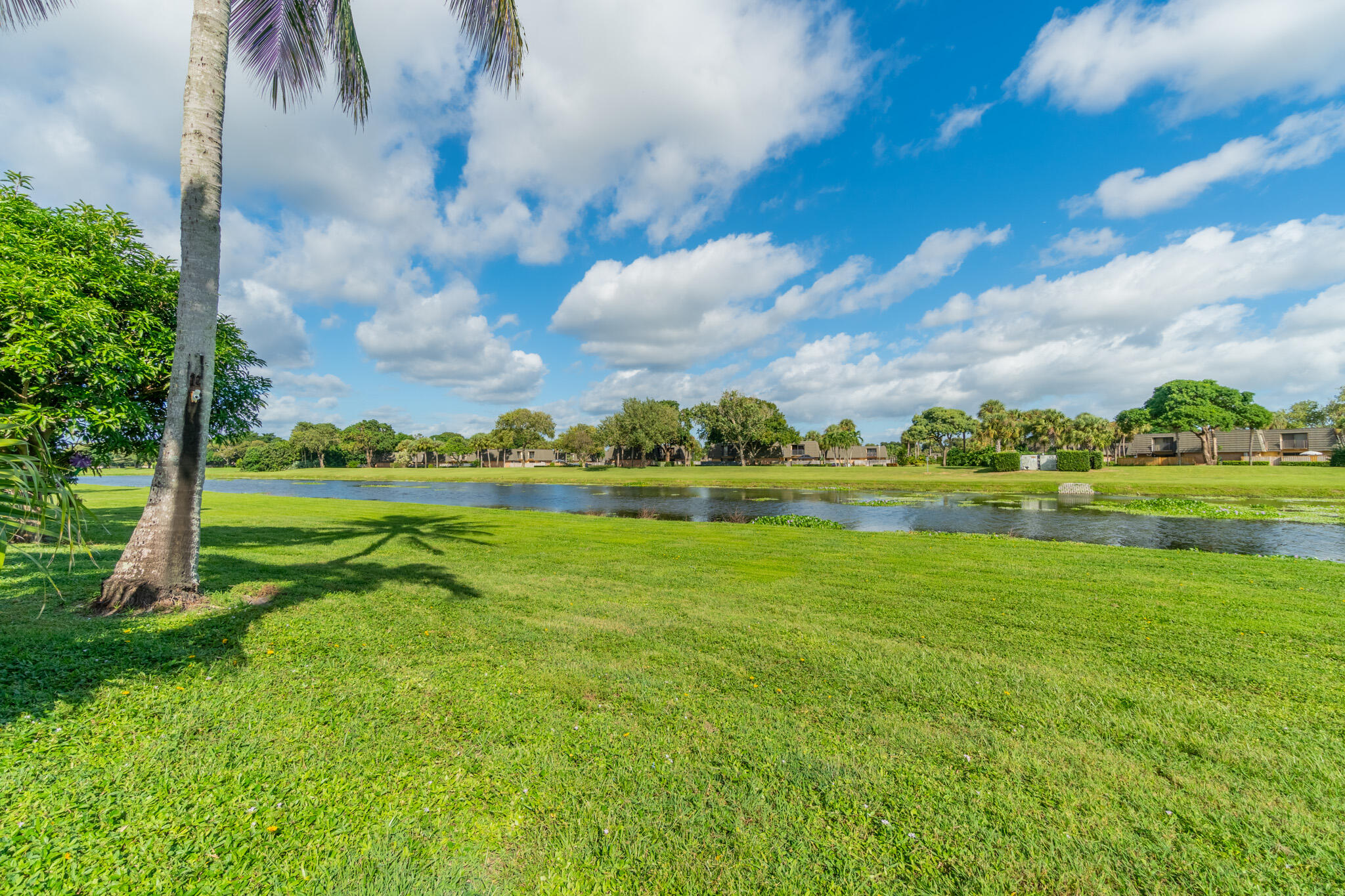 MLS #RX-11137561 image #31