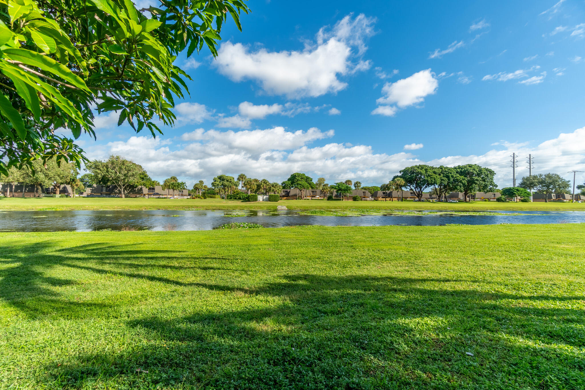 MLS #RX-11137561 image #32