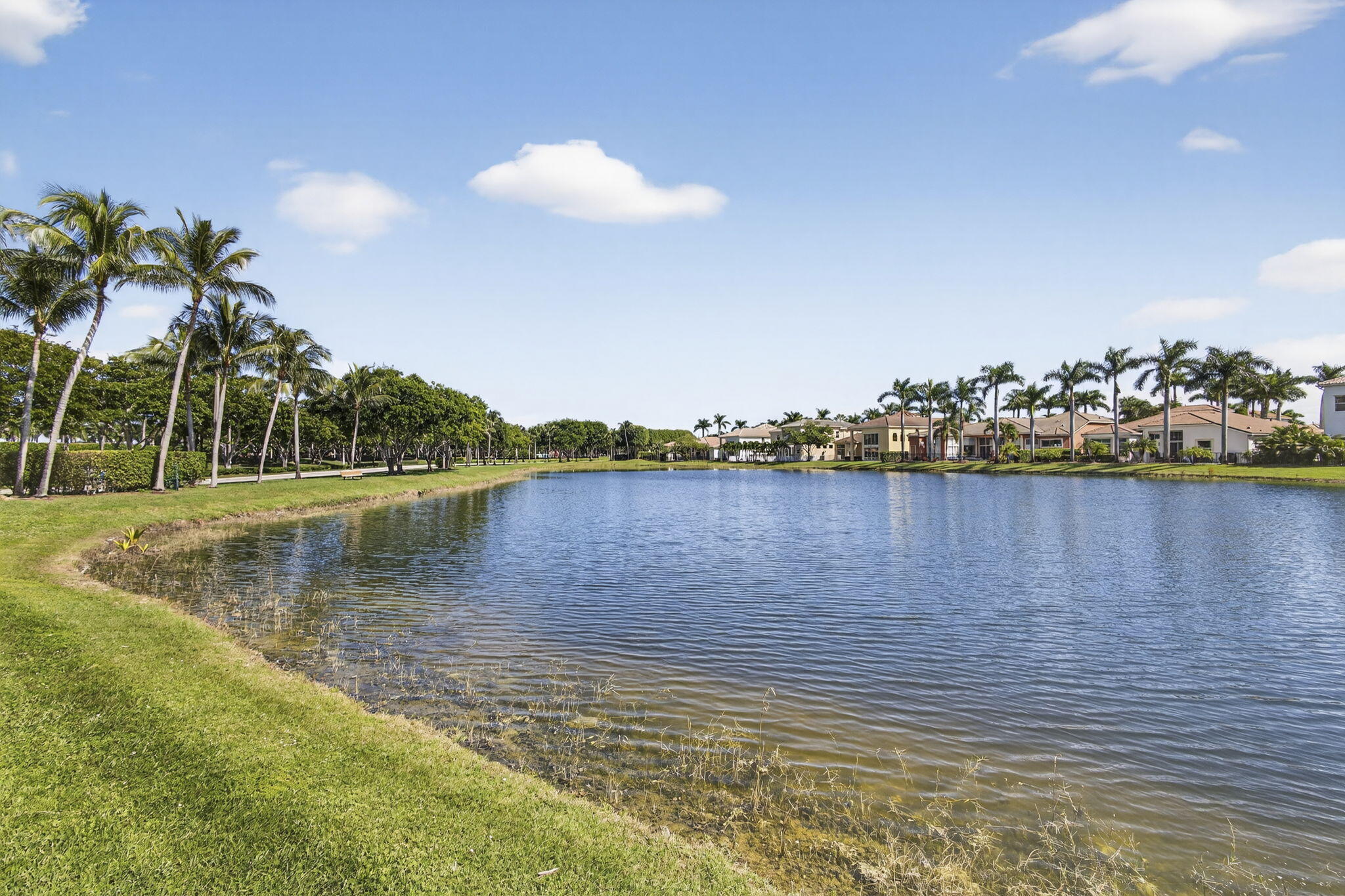 MLS #RX-11137696 image #63