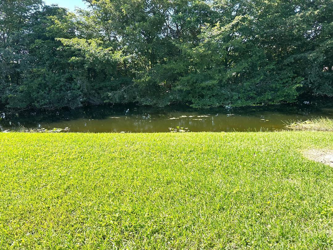 MLS #RX-11137703 image #13