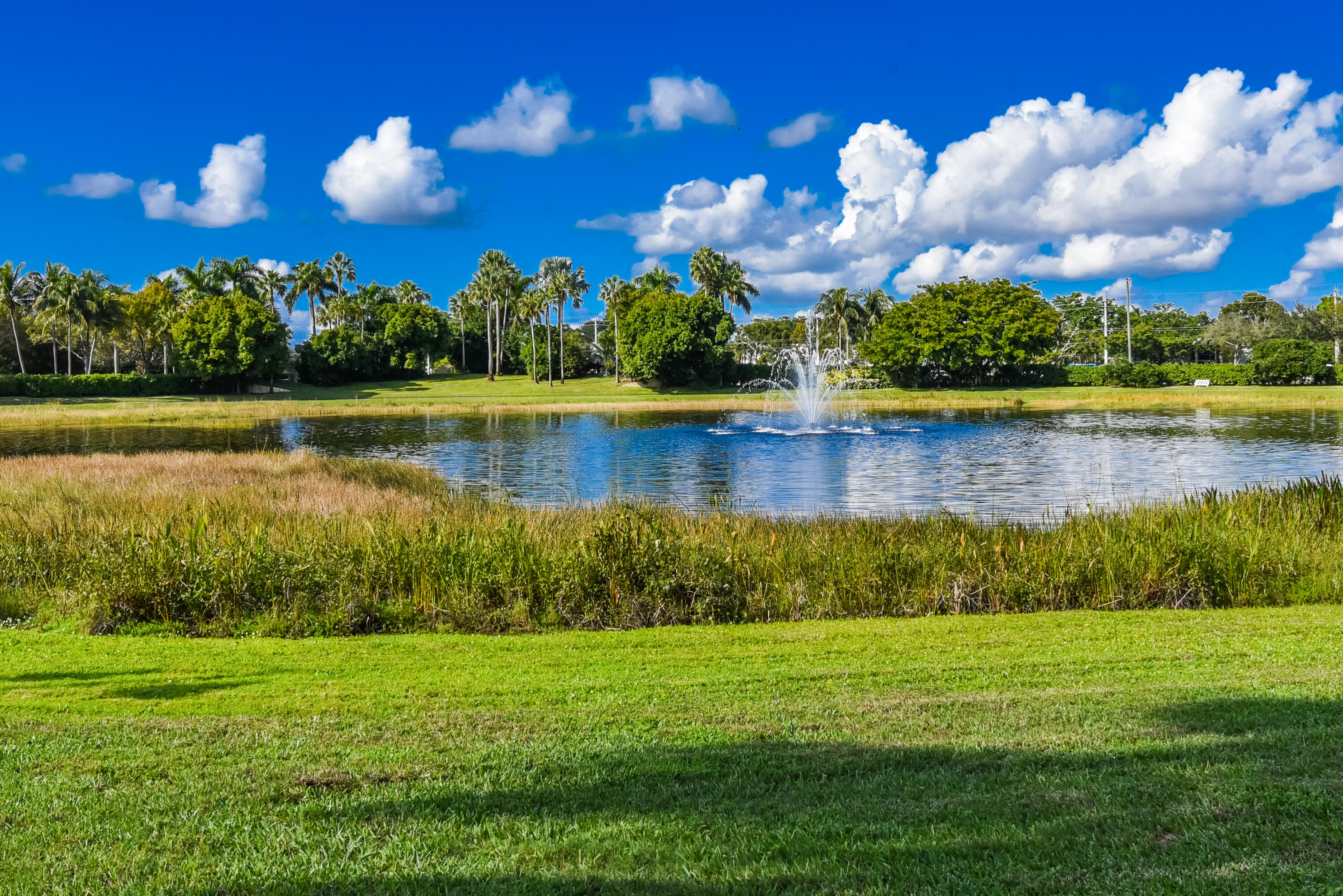 MLS #RX-11137709 image #43