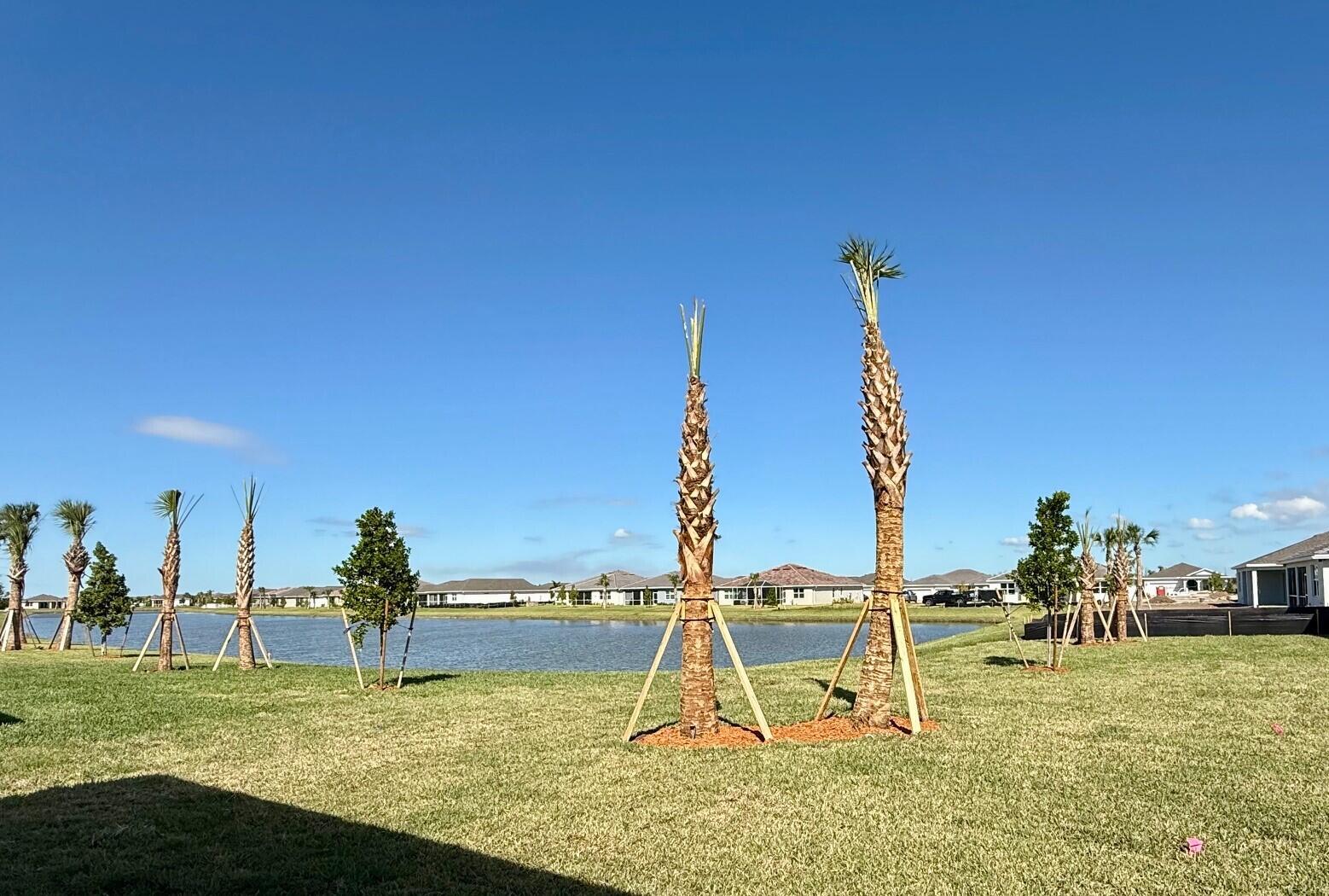 MLS #RX-11137919 image #4