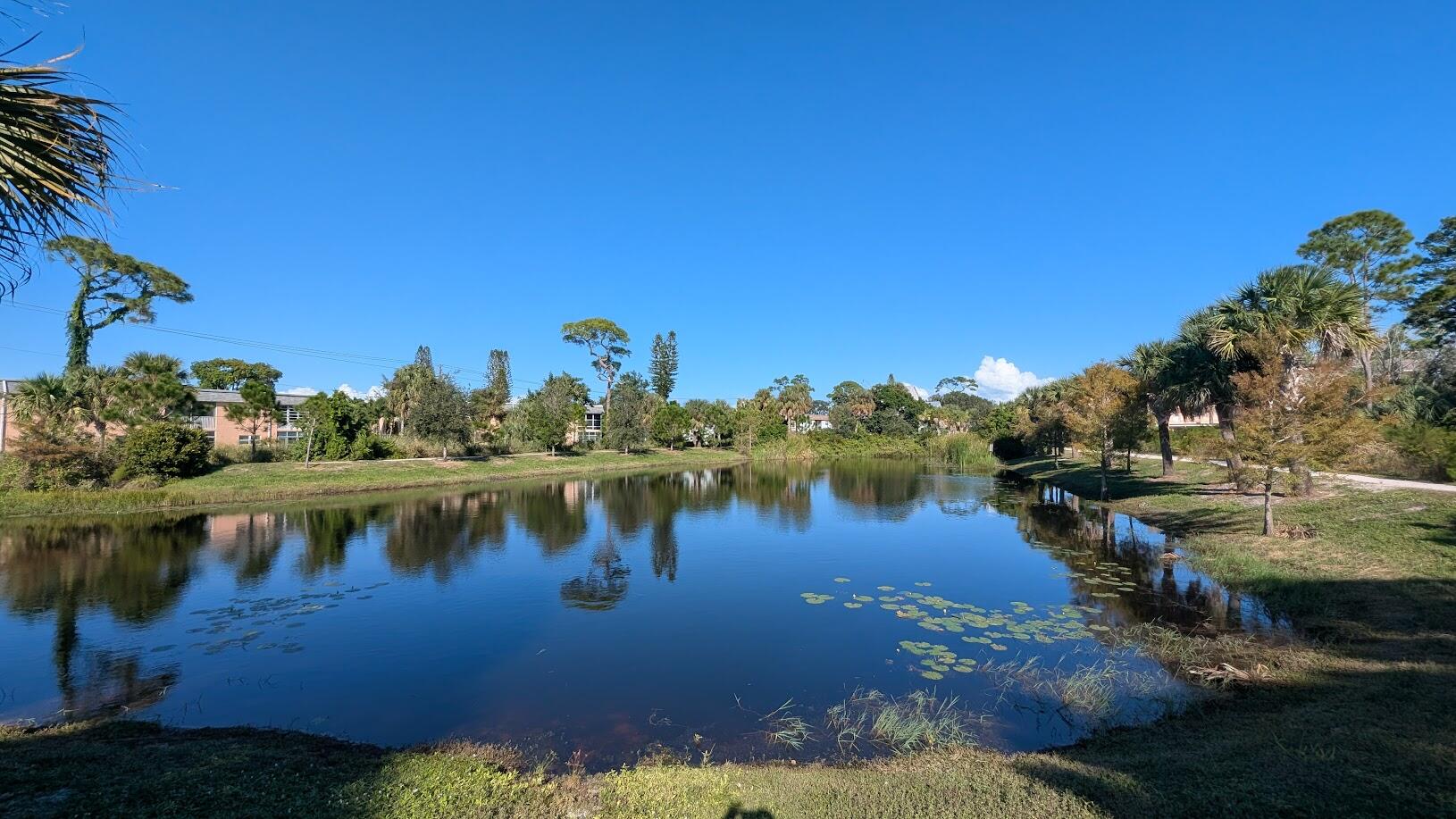 MLS #RX-11138189 image #9