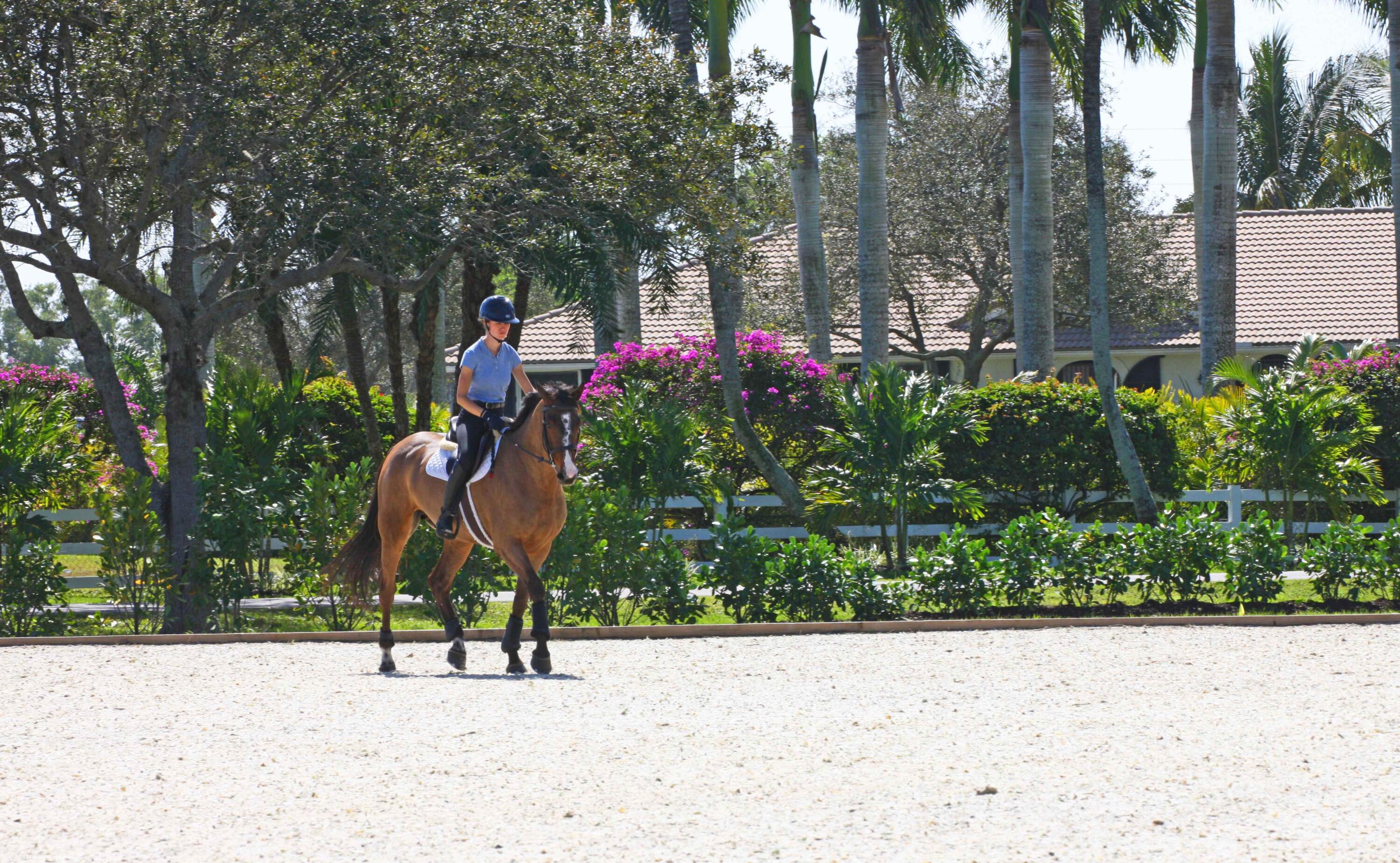 MLS #RX-11138210 image #108