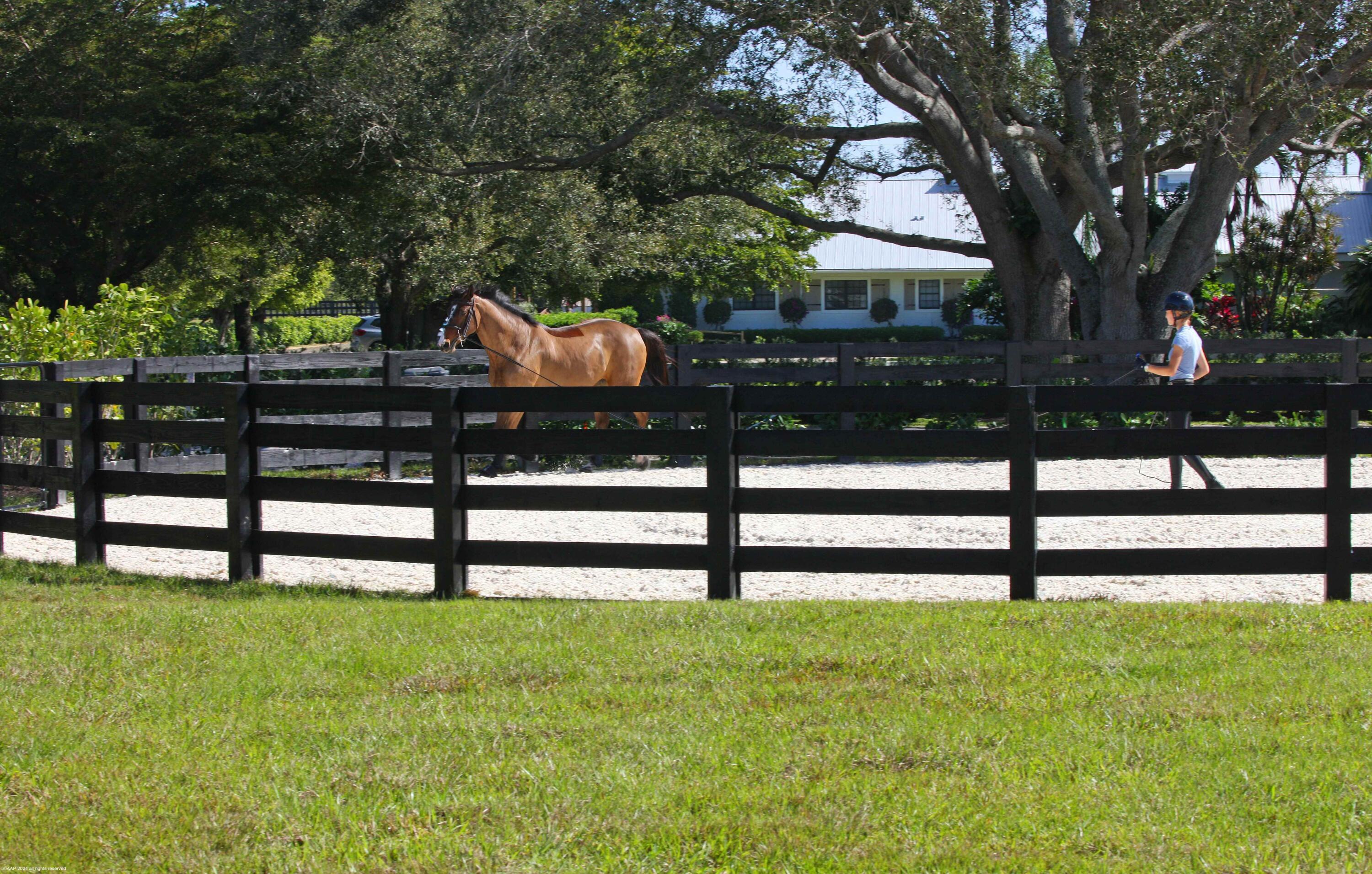 MLS #RX-11138210 image #122