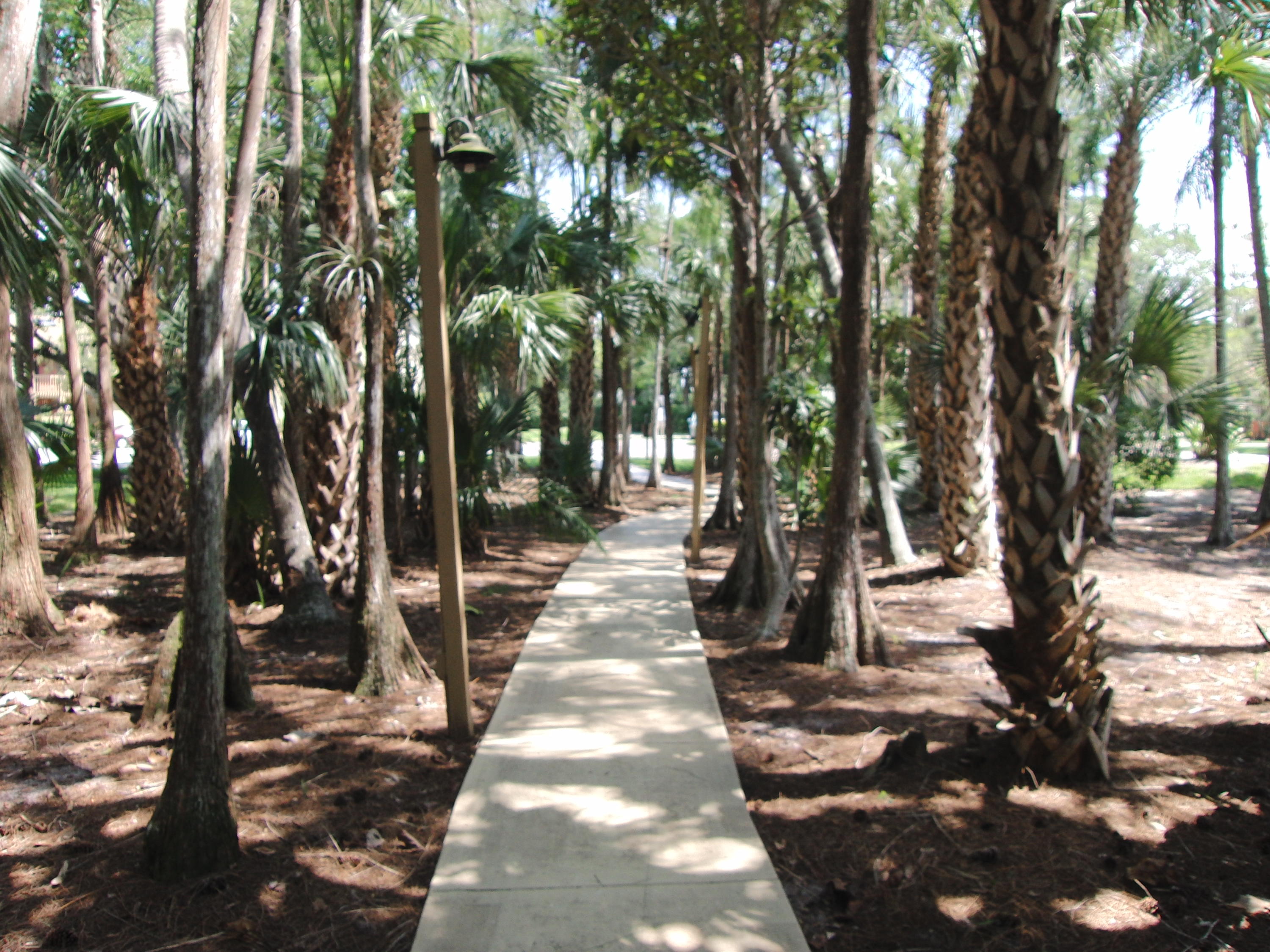 MLS #RX-11138228 image #11