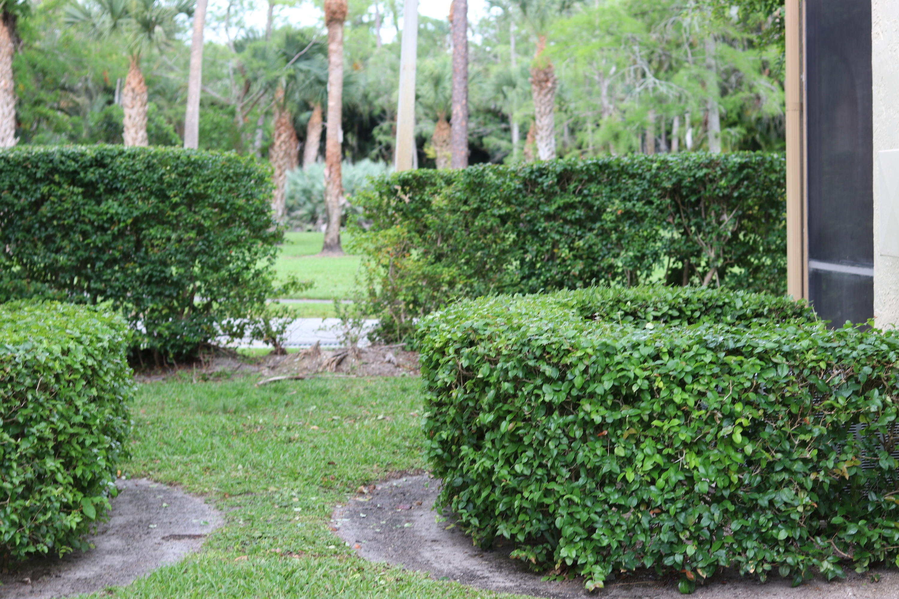 MLS #RX-11138228 image #12