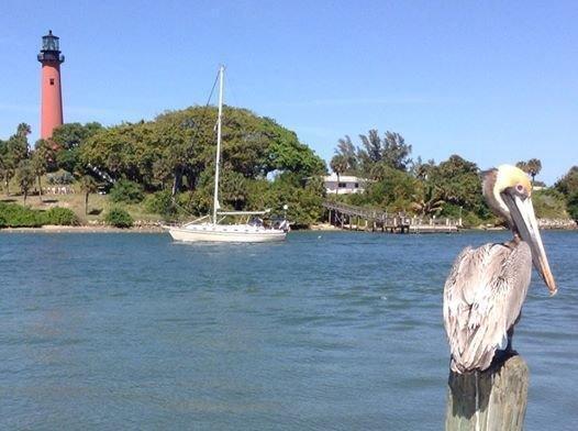 MLS #RX-11138615 image #47