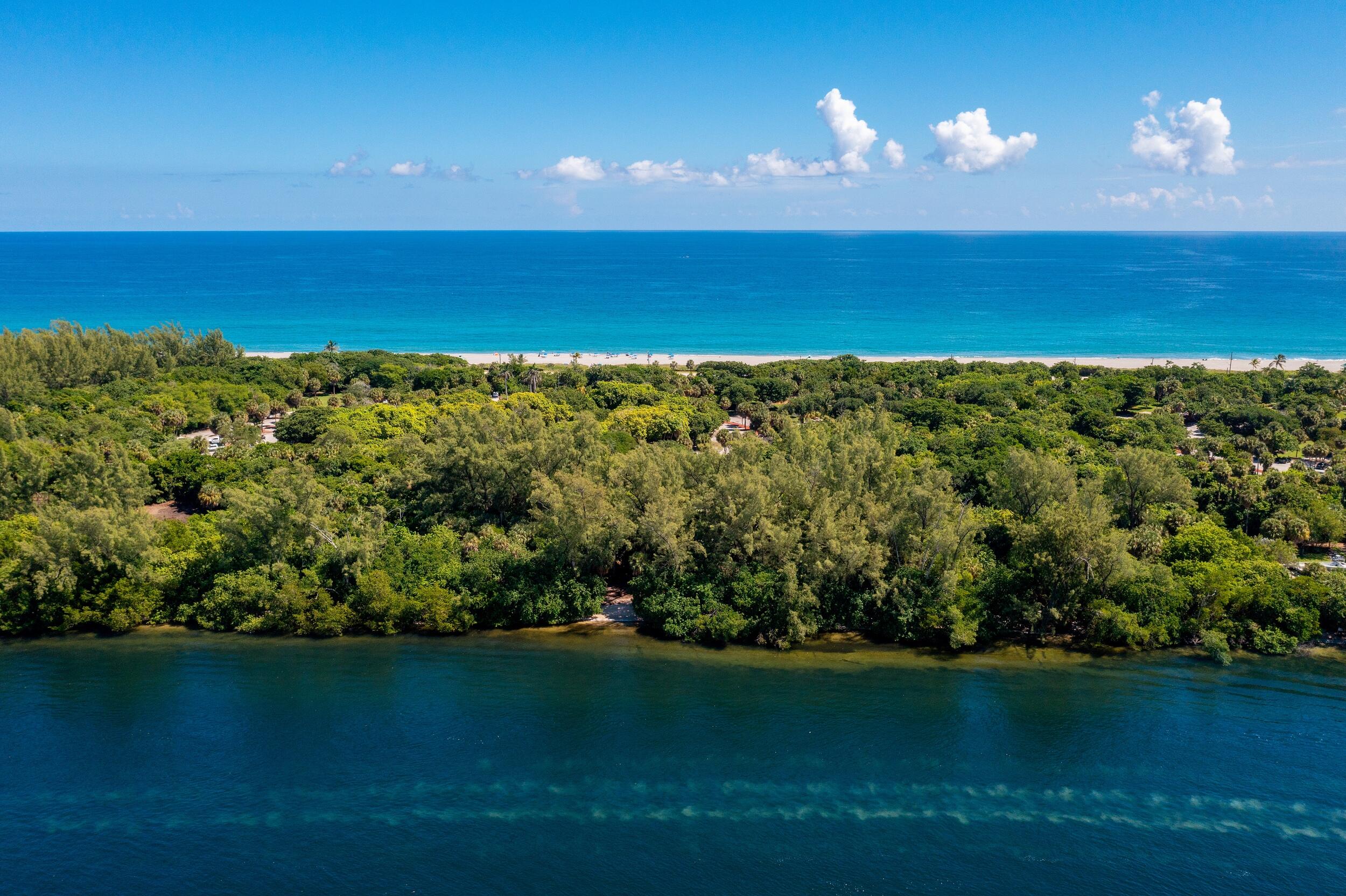 MLS #RX-11138722 image #2