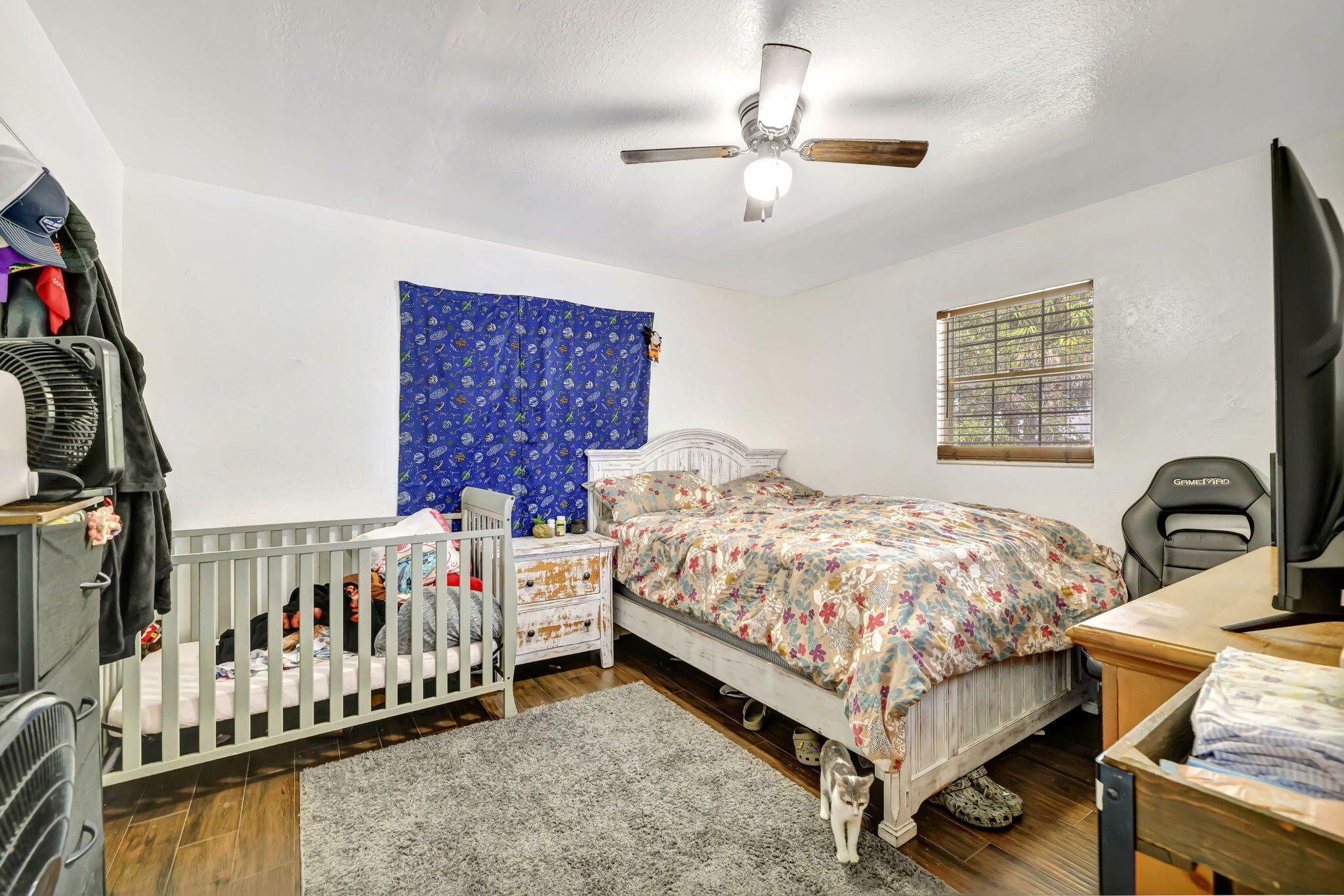 MLS #RX-11138761 image #7