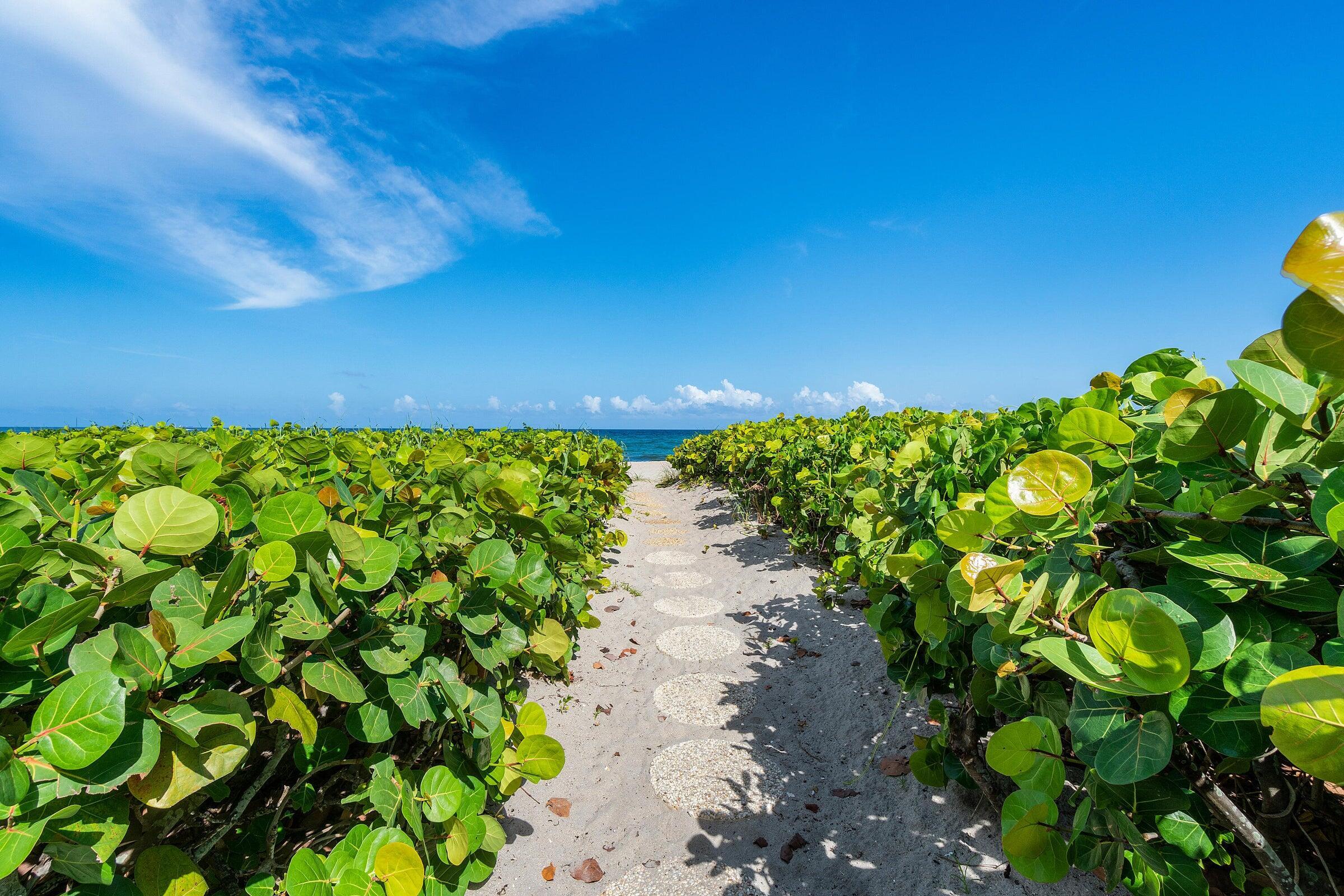 MLS #RX-11138795 image #1