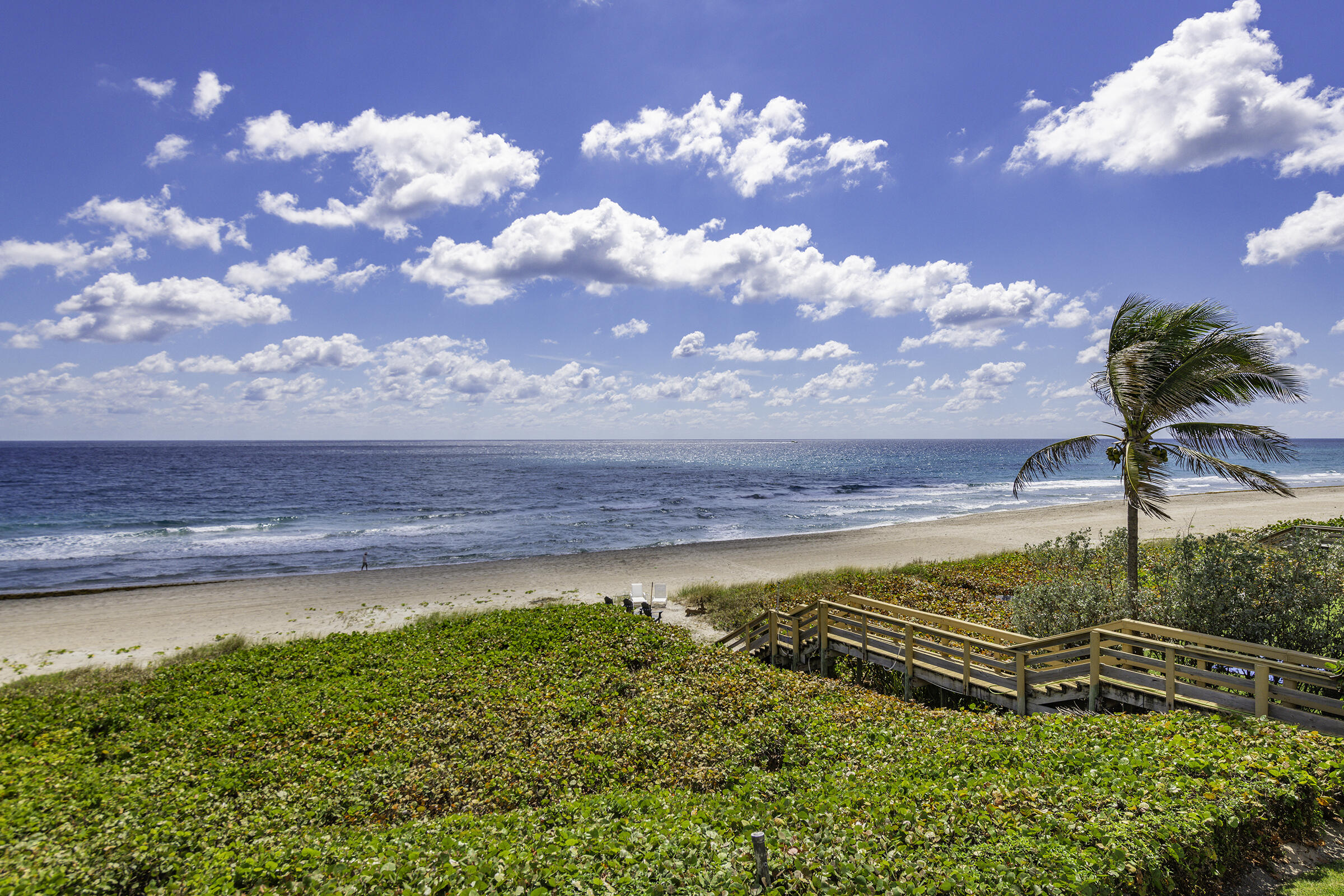 MLS #RX-11138795 image #11