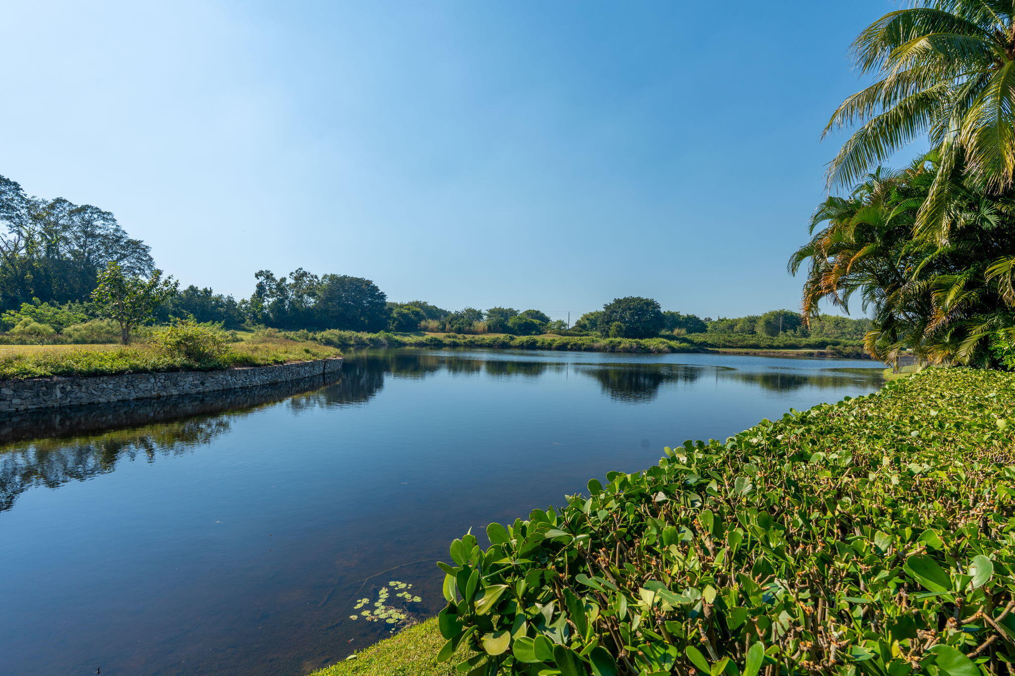 MLS #RX-11138911 image #62