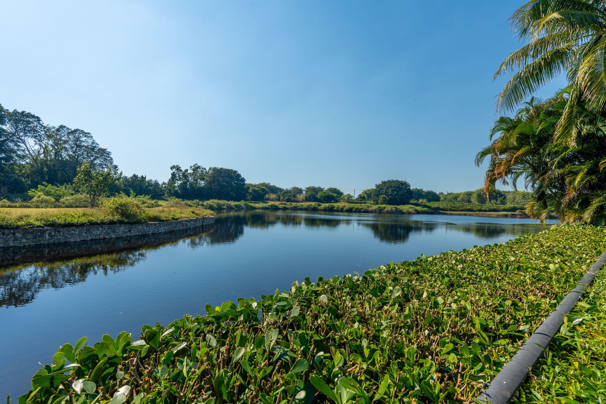 MLS #RX-11138911 image #63