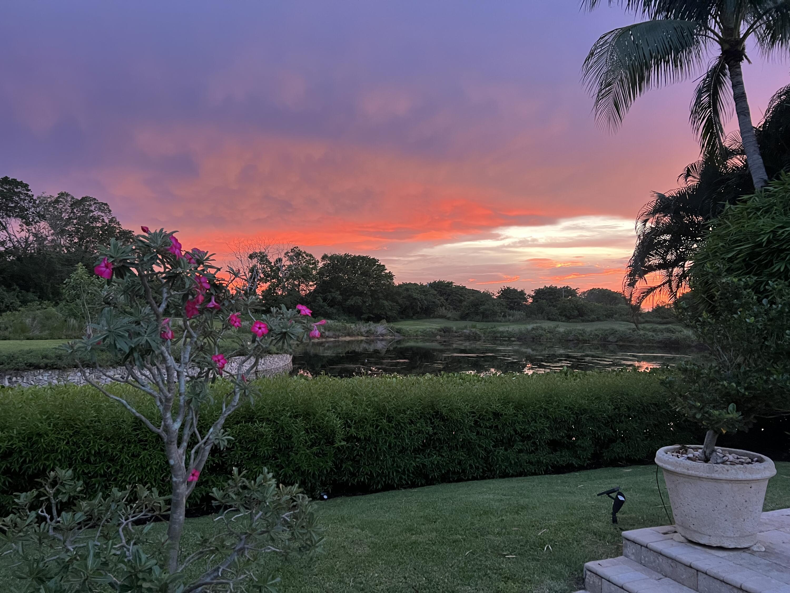 MLS #RX-11138911 image #74