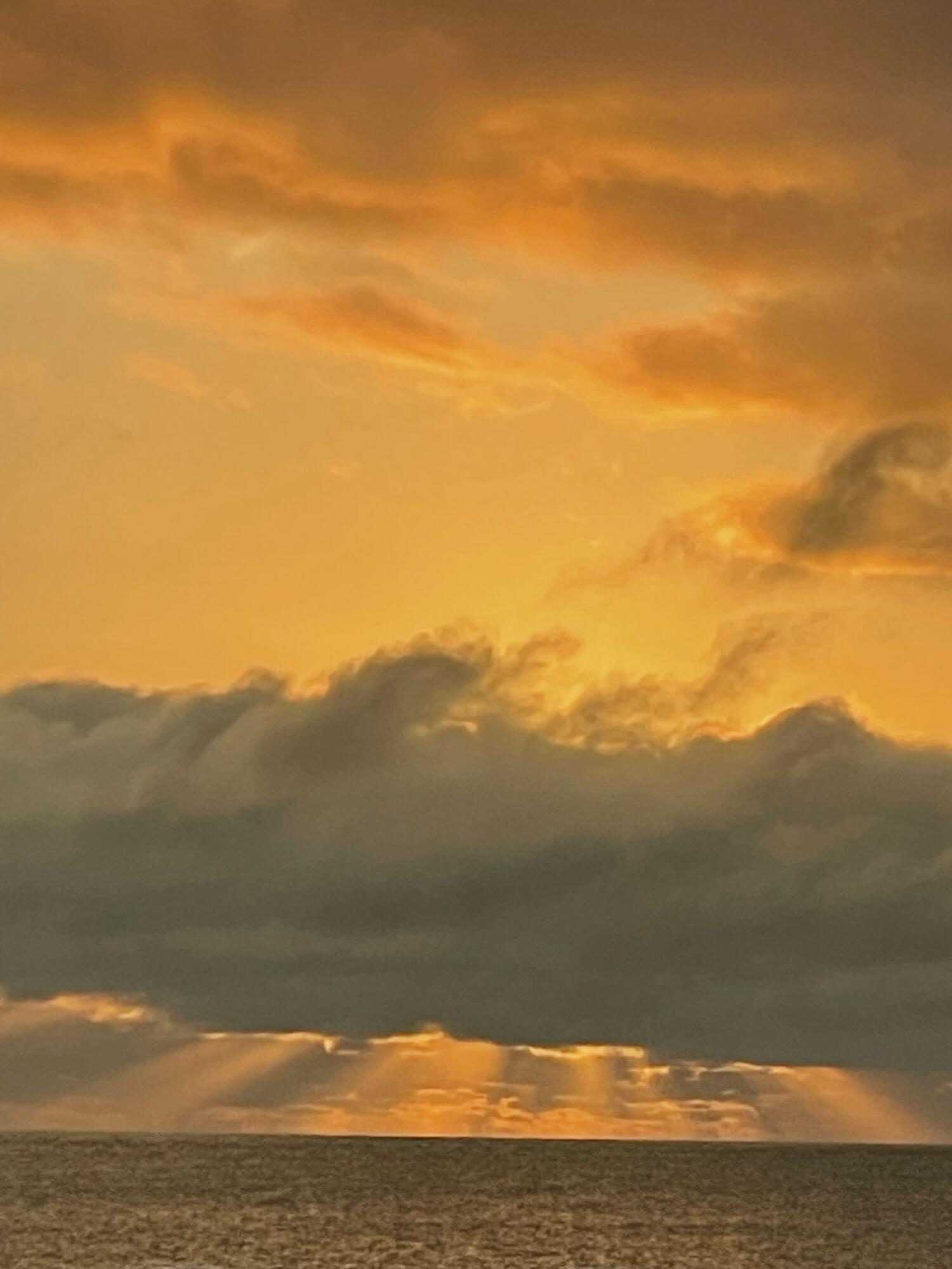 MLS #RX-11138913 image #34