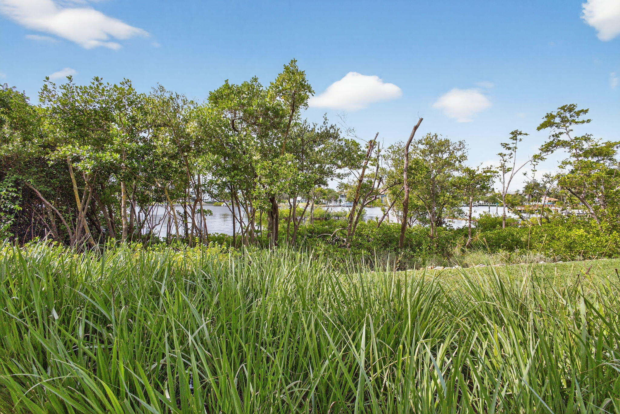 MLS #RX-11138921 image #43