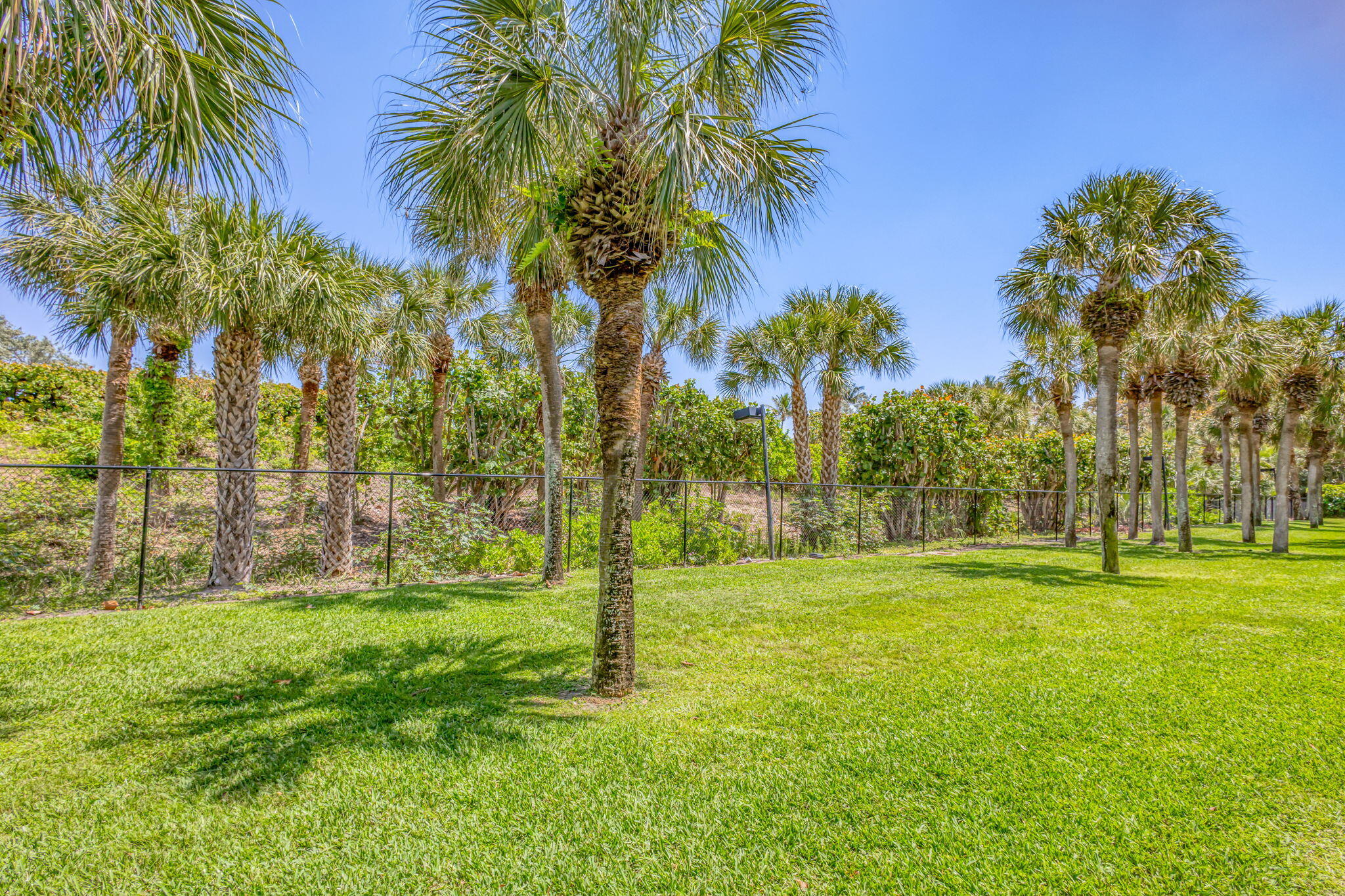 MLS #RX-11139138 image #47