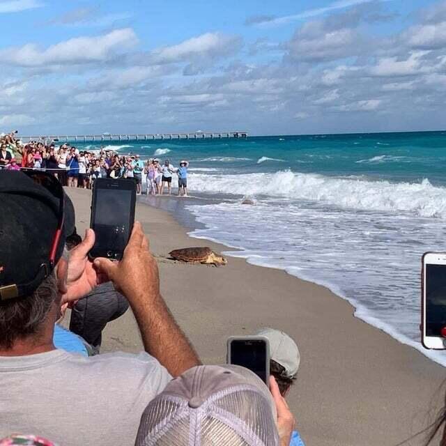 MLS #RX-11139138 image #59