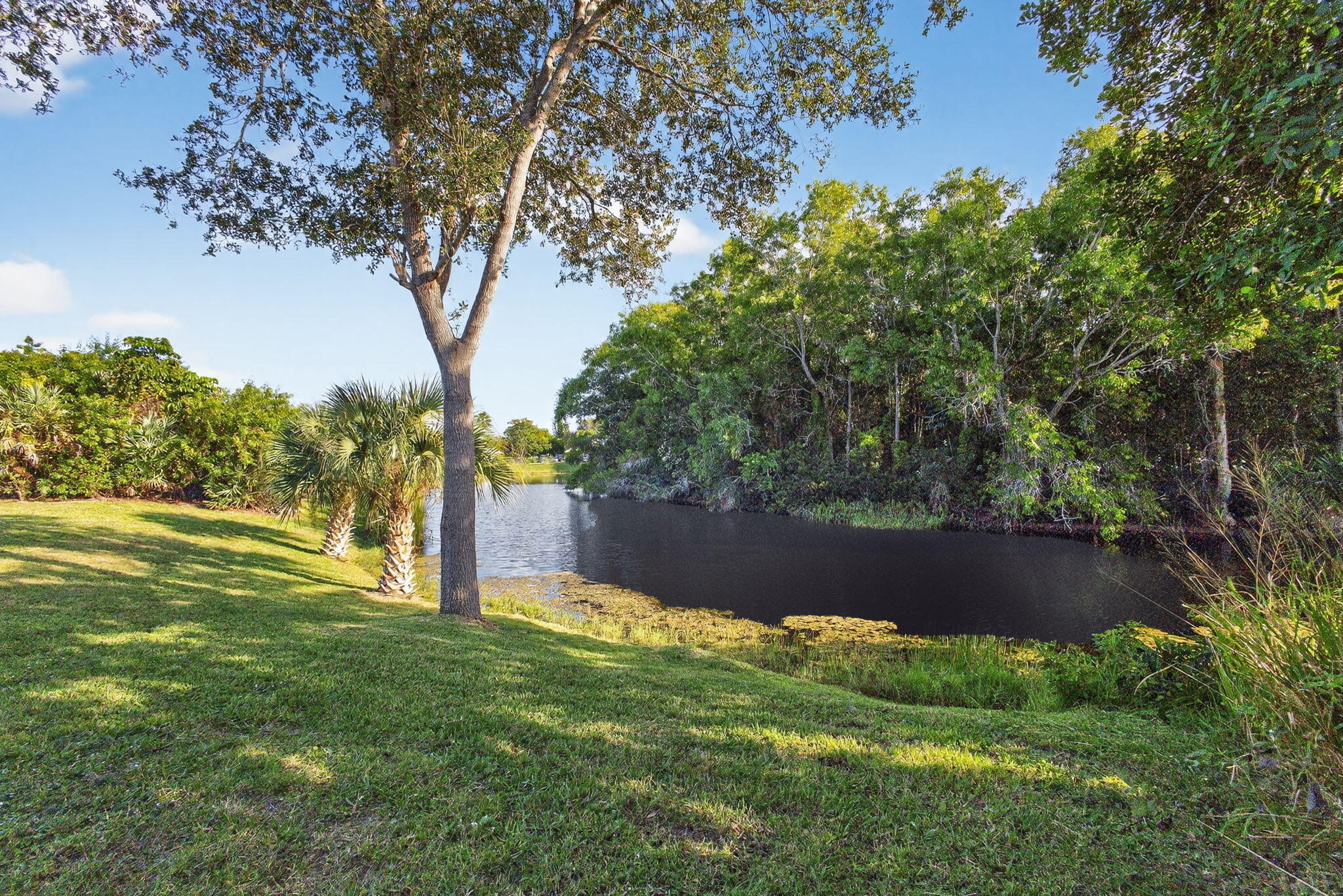 MLS #RX-11139230 image #68