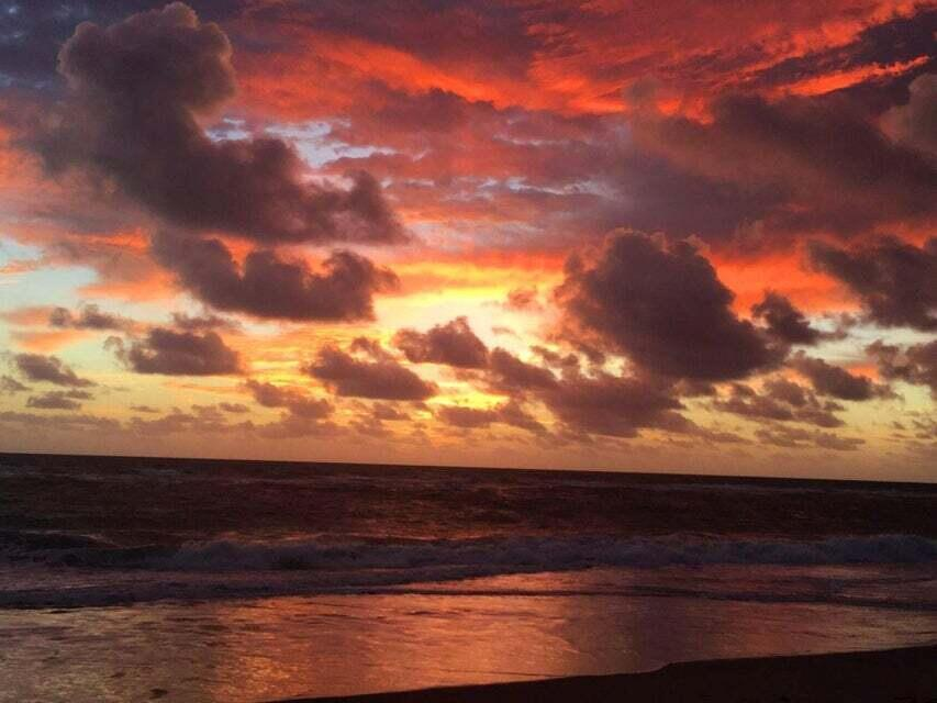 MLS #RX-11139249 image #88