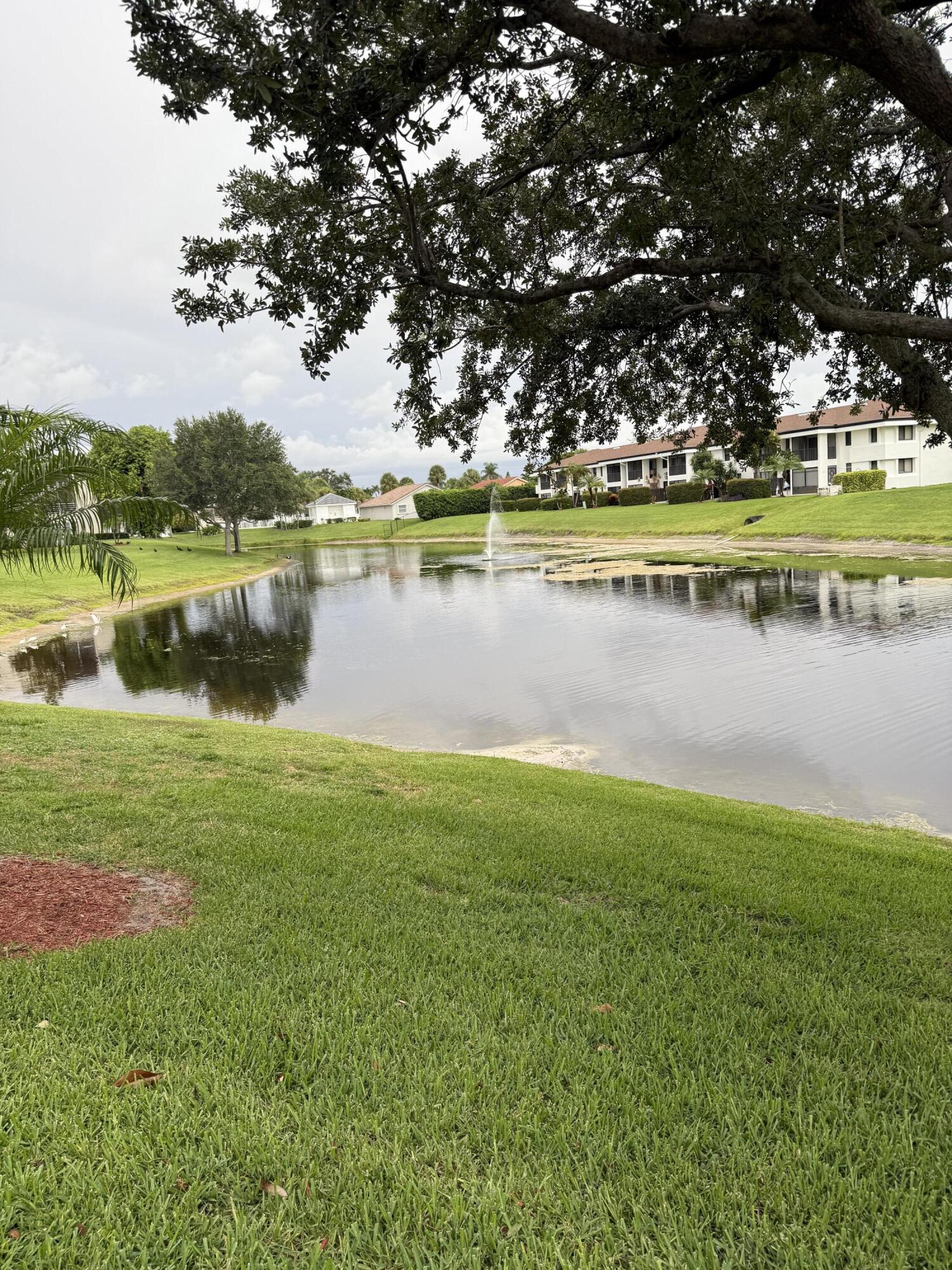 MLS #RX-10824851 image #2