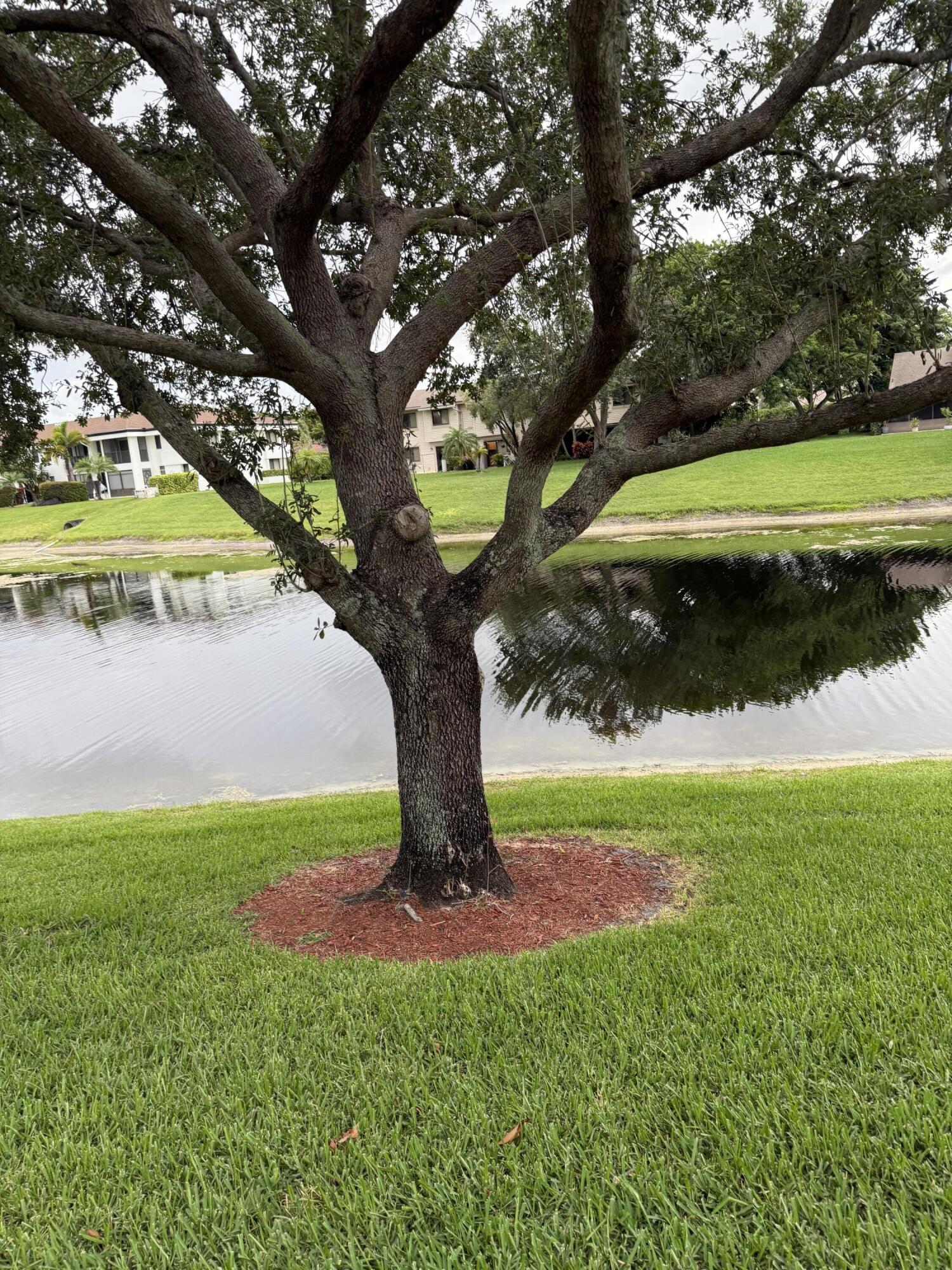 MLS #RX-10824851 image #6