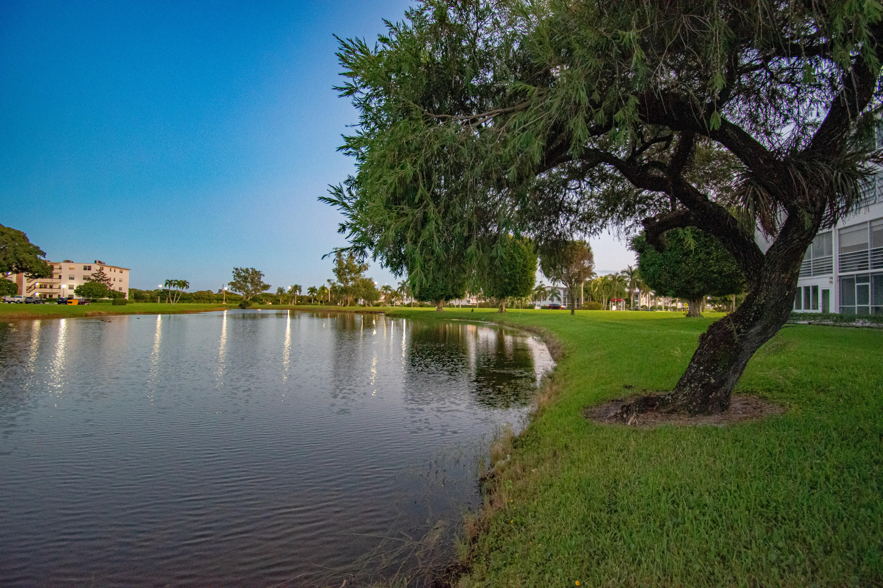 MLS #RX-11139335 image #4