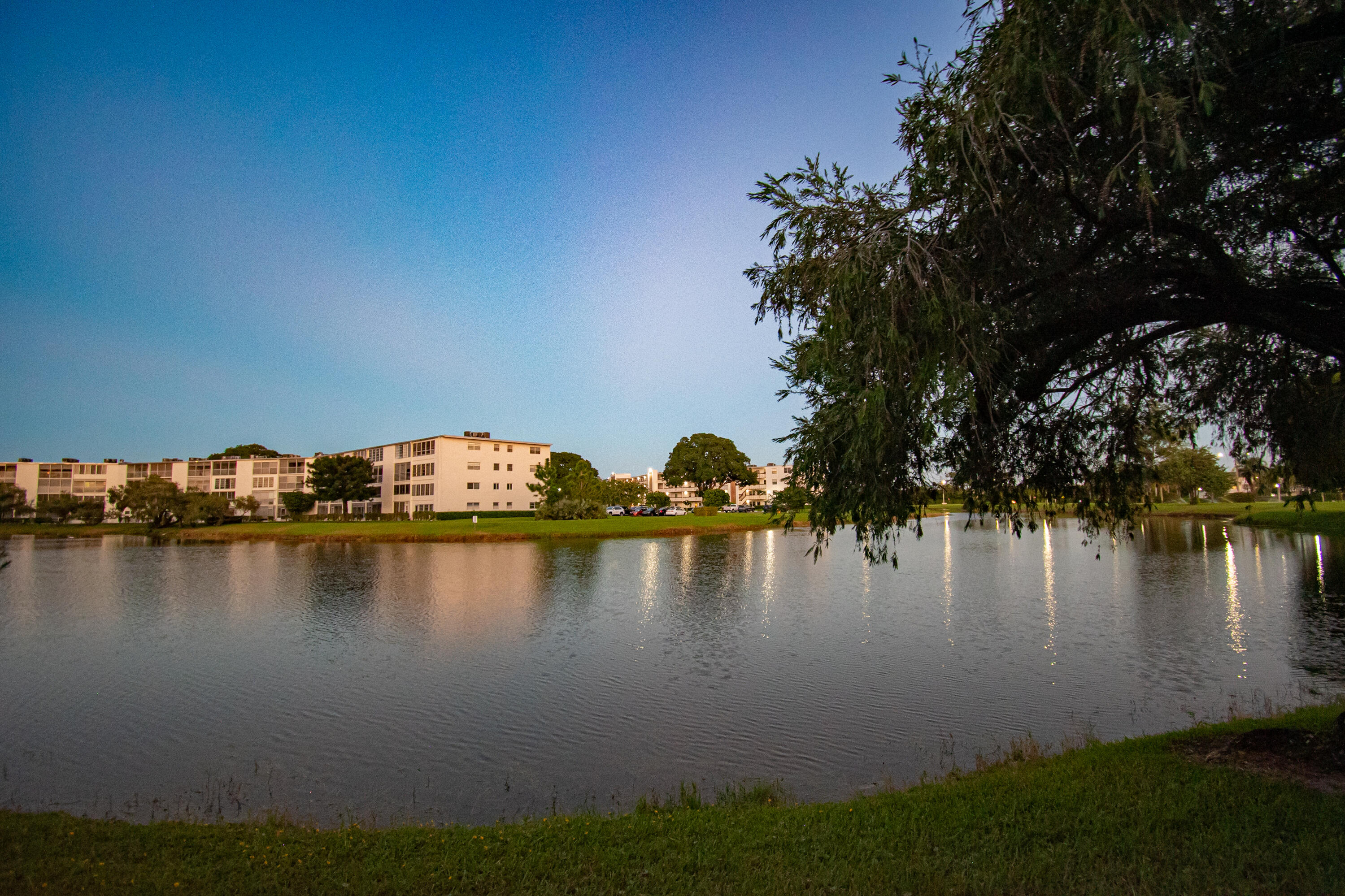 MLS #RX-11139335 image #6