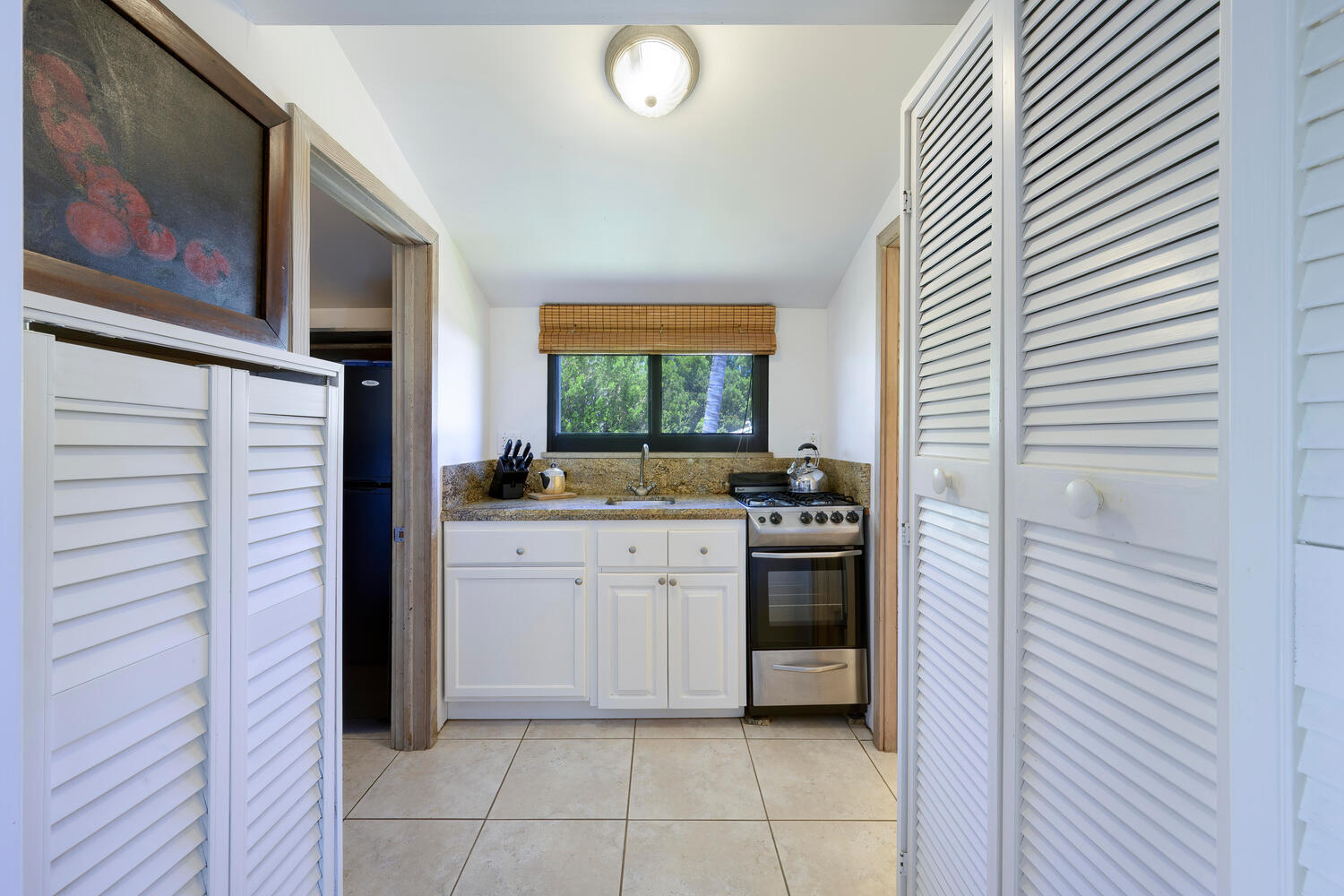 MLS #RX-11139533 image #31