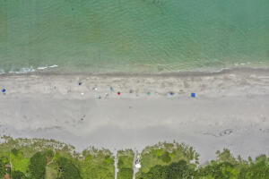 MLS #RX-11139556 image #38