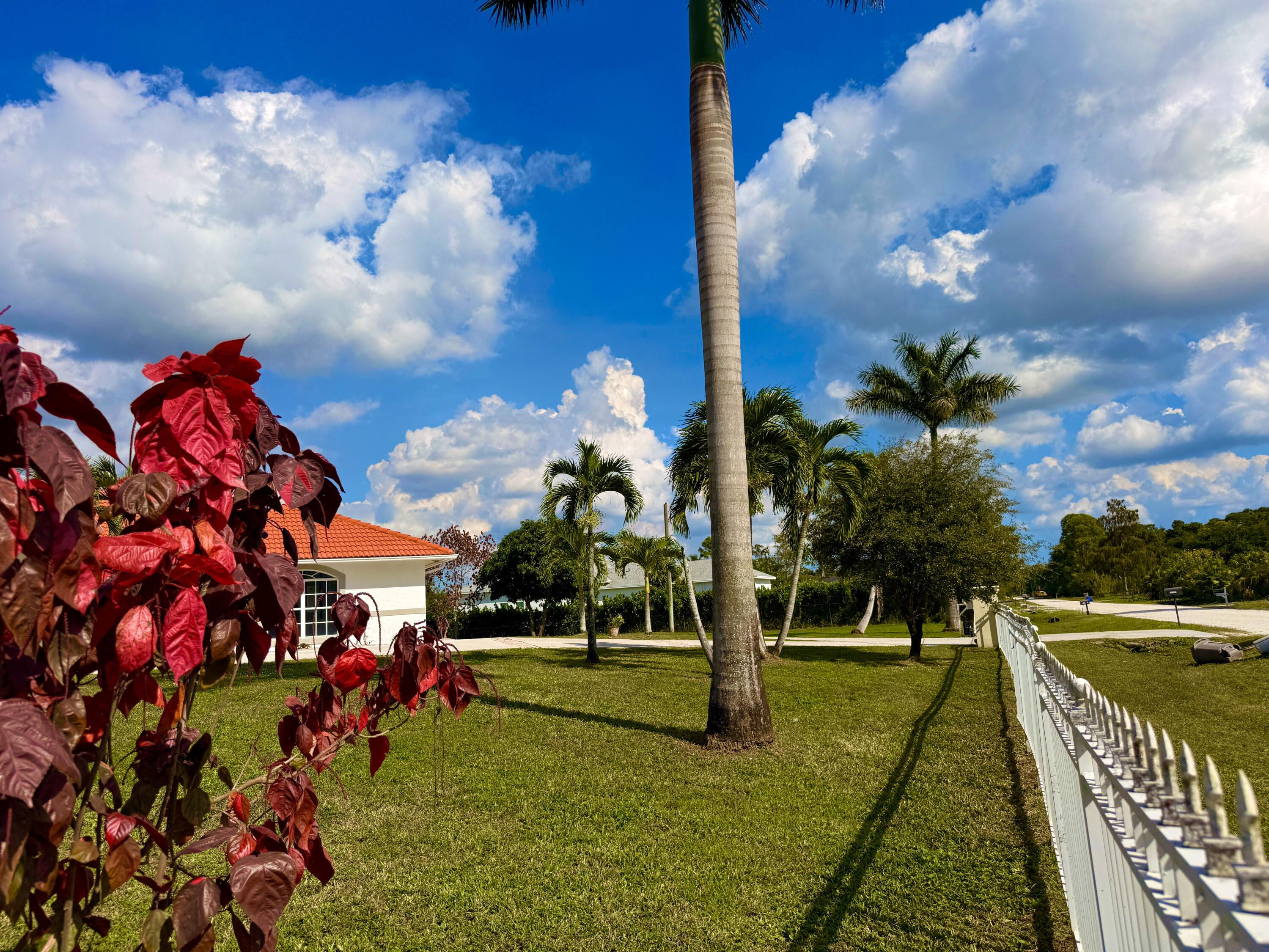 MLS #RX-11139580 image #61