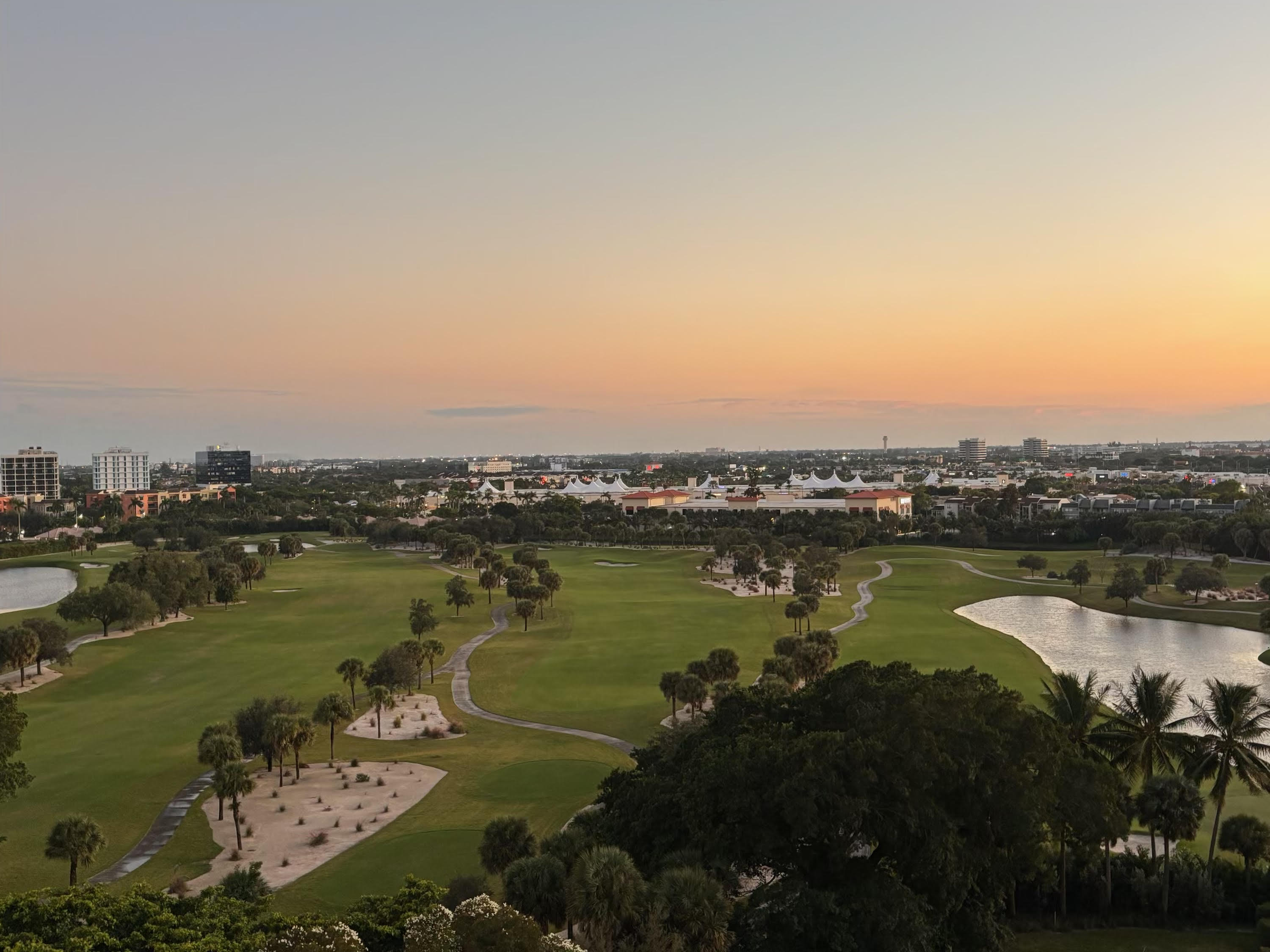 MLS #RX-11139639 image #5