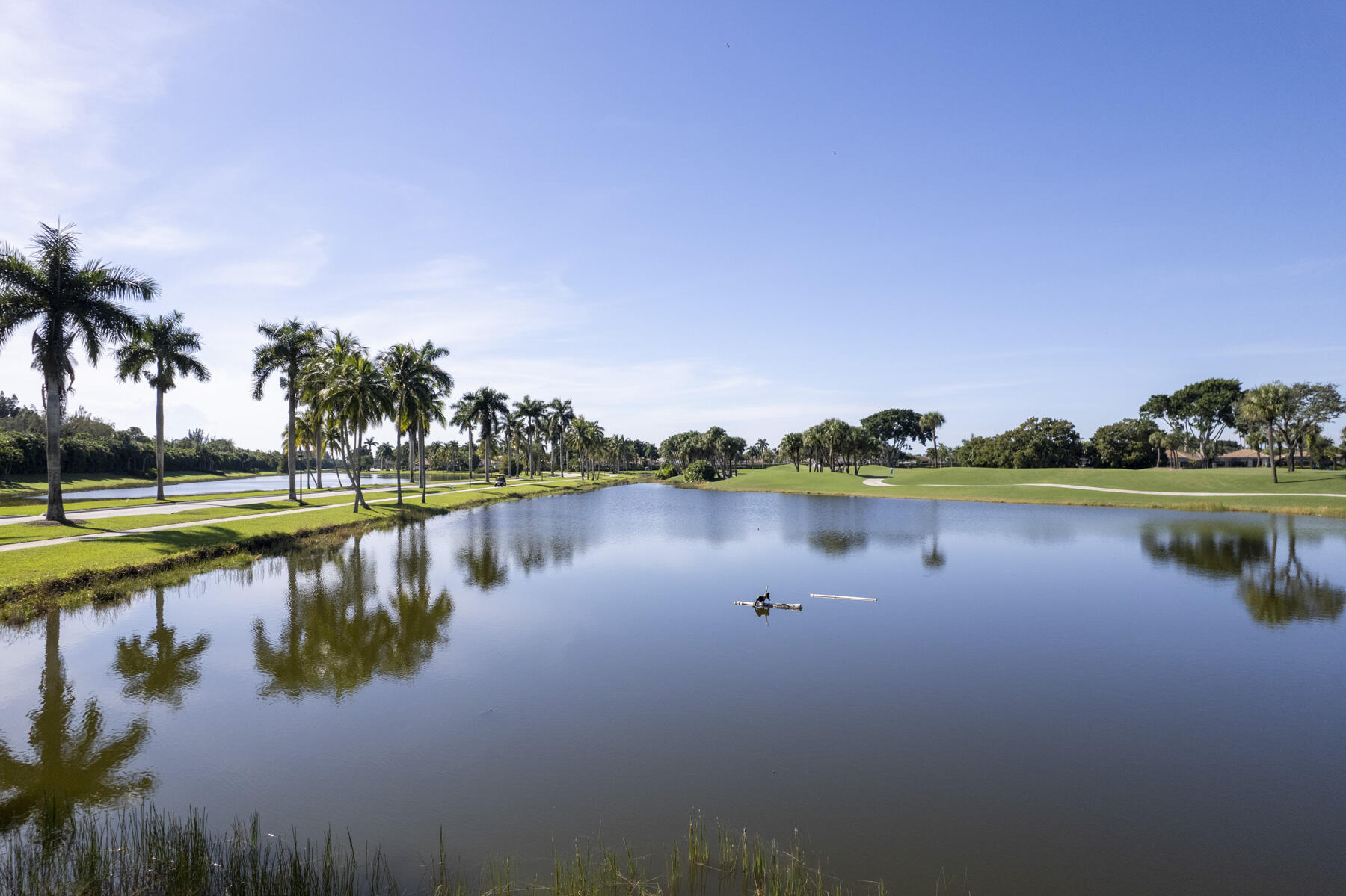 MLS #RX-11139738 image #4