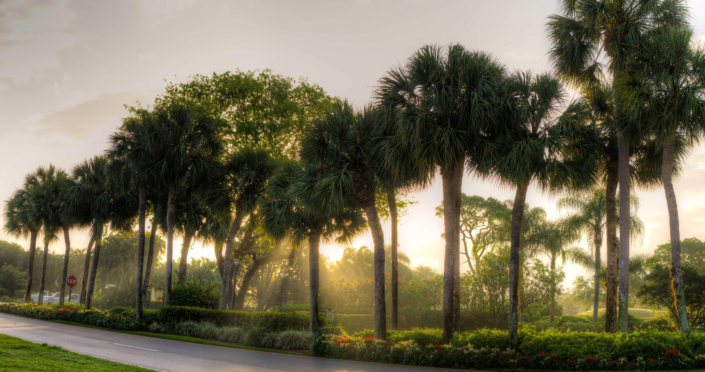 MLS #RX-11139746 image #96