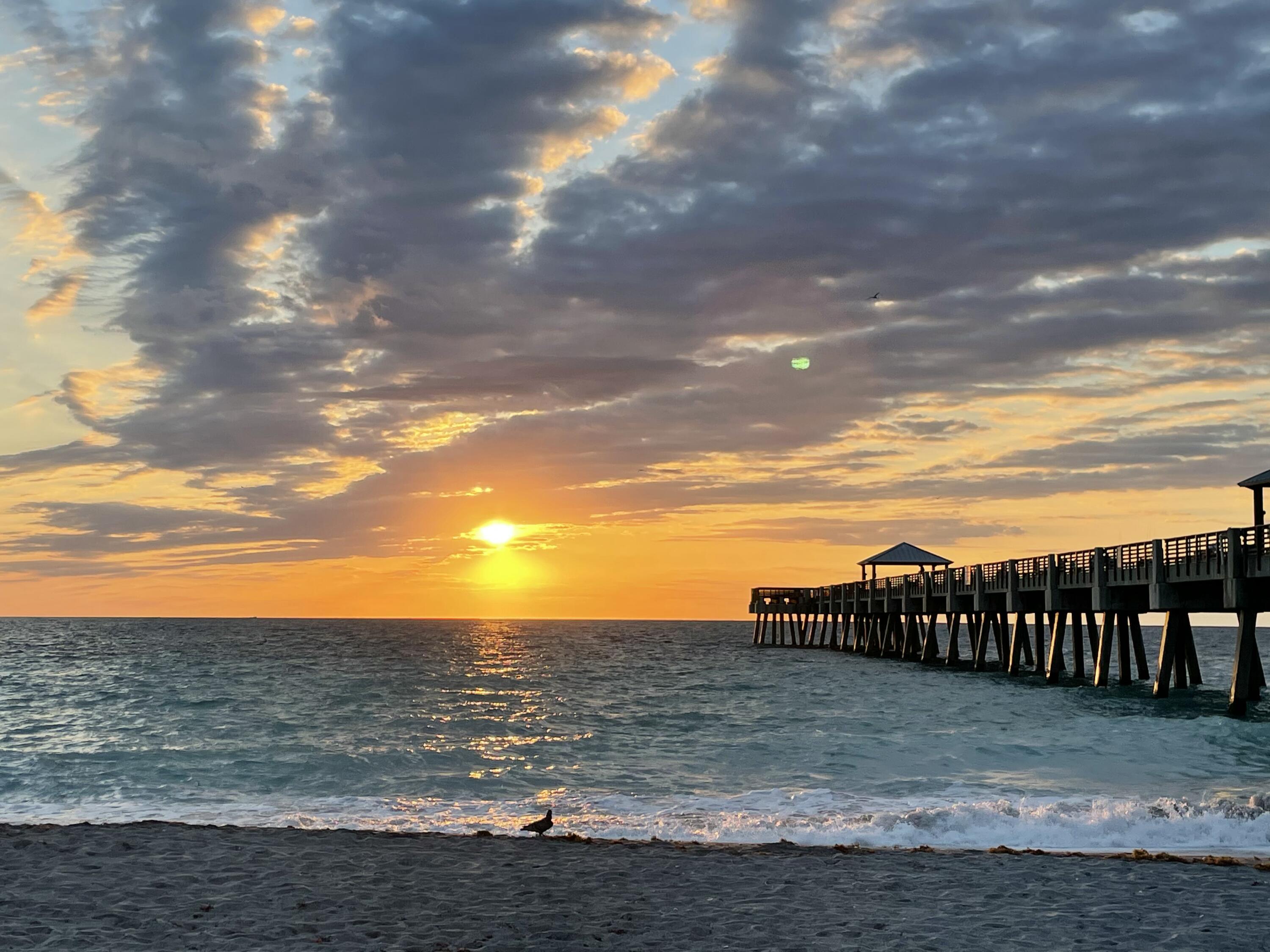 MLS #RX-11139783 image #73