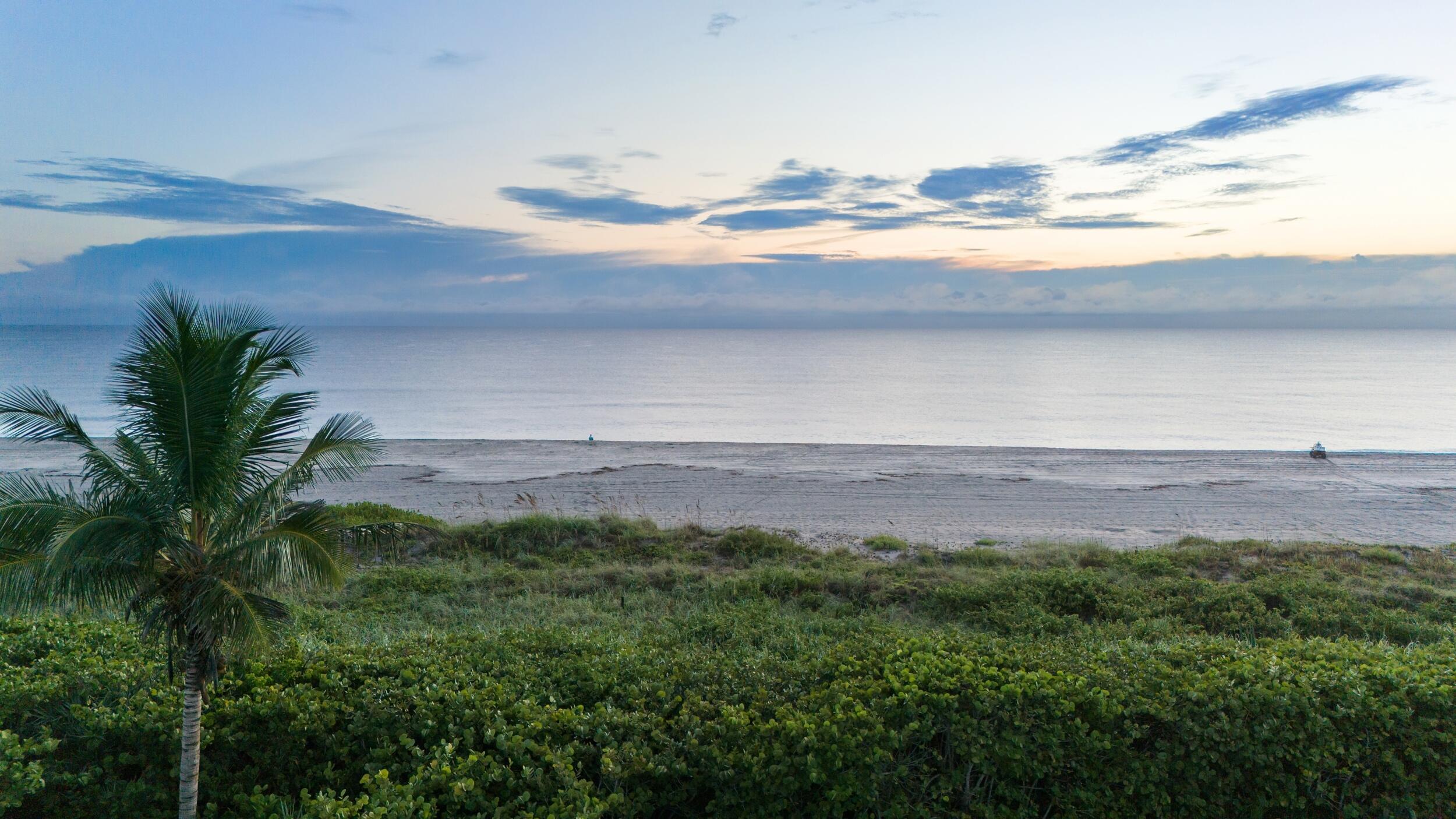 MLS #RX-11139784 image #58