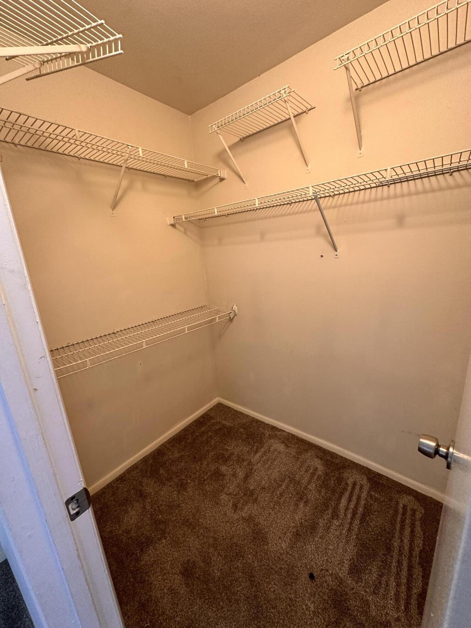 MLS #RX-11139904 image #10