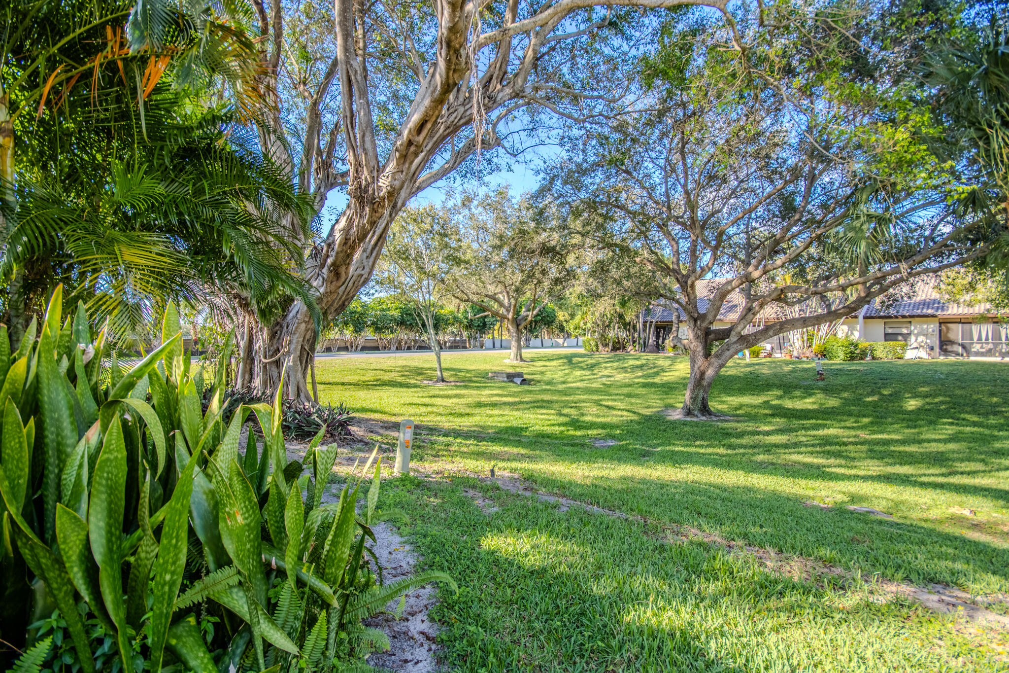 MLS #RX-10597873 image #16