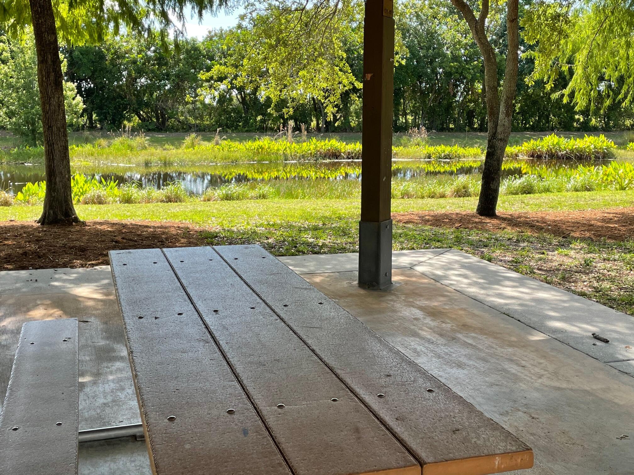 MLS #RX-11139988 image #59