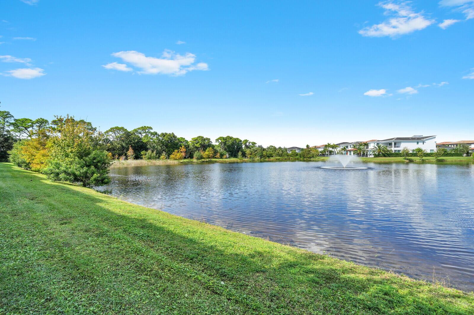 MLS #RX-11140014 image #10