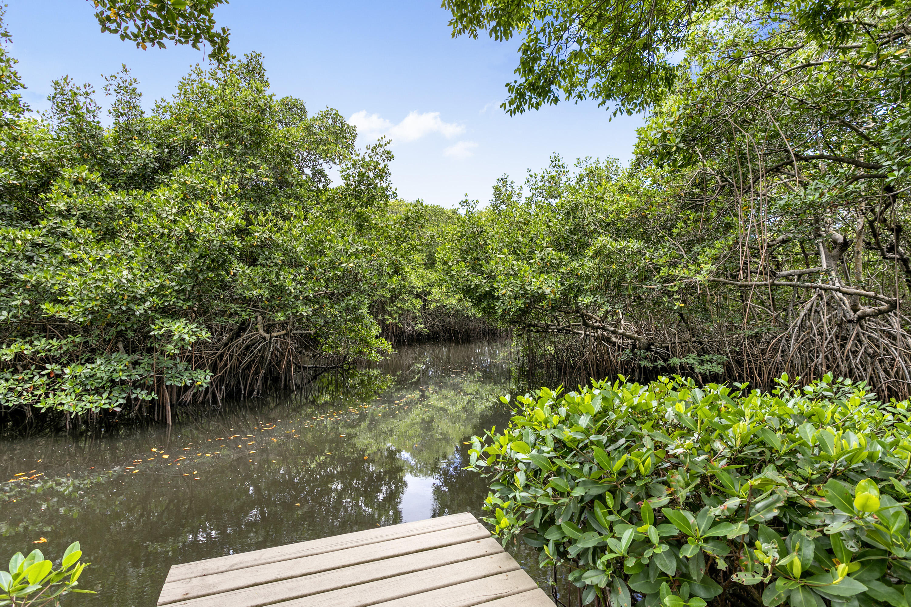 MLS #RX-11140071 image #28