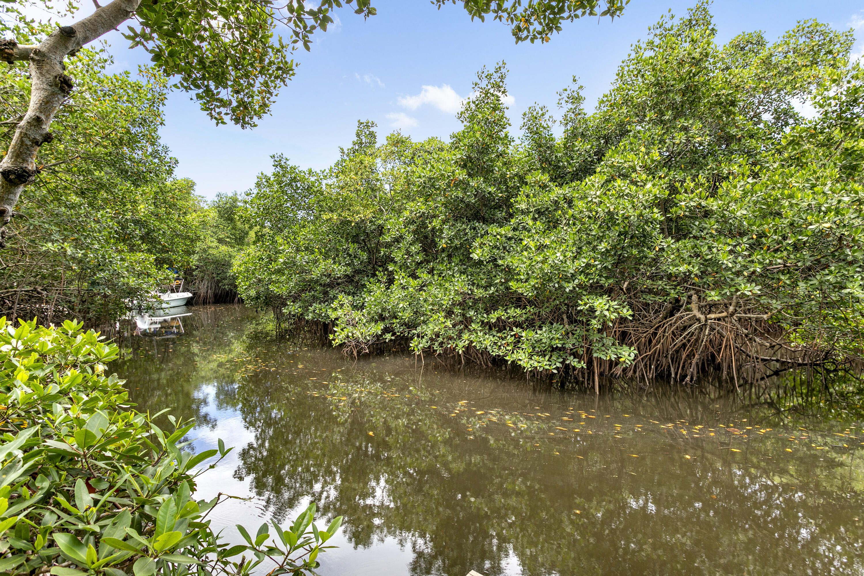 MLS #RX-11140071 image #29