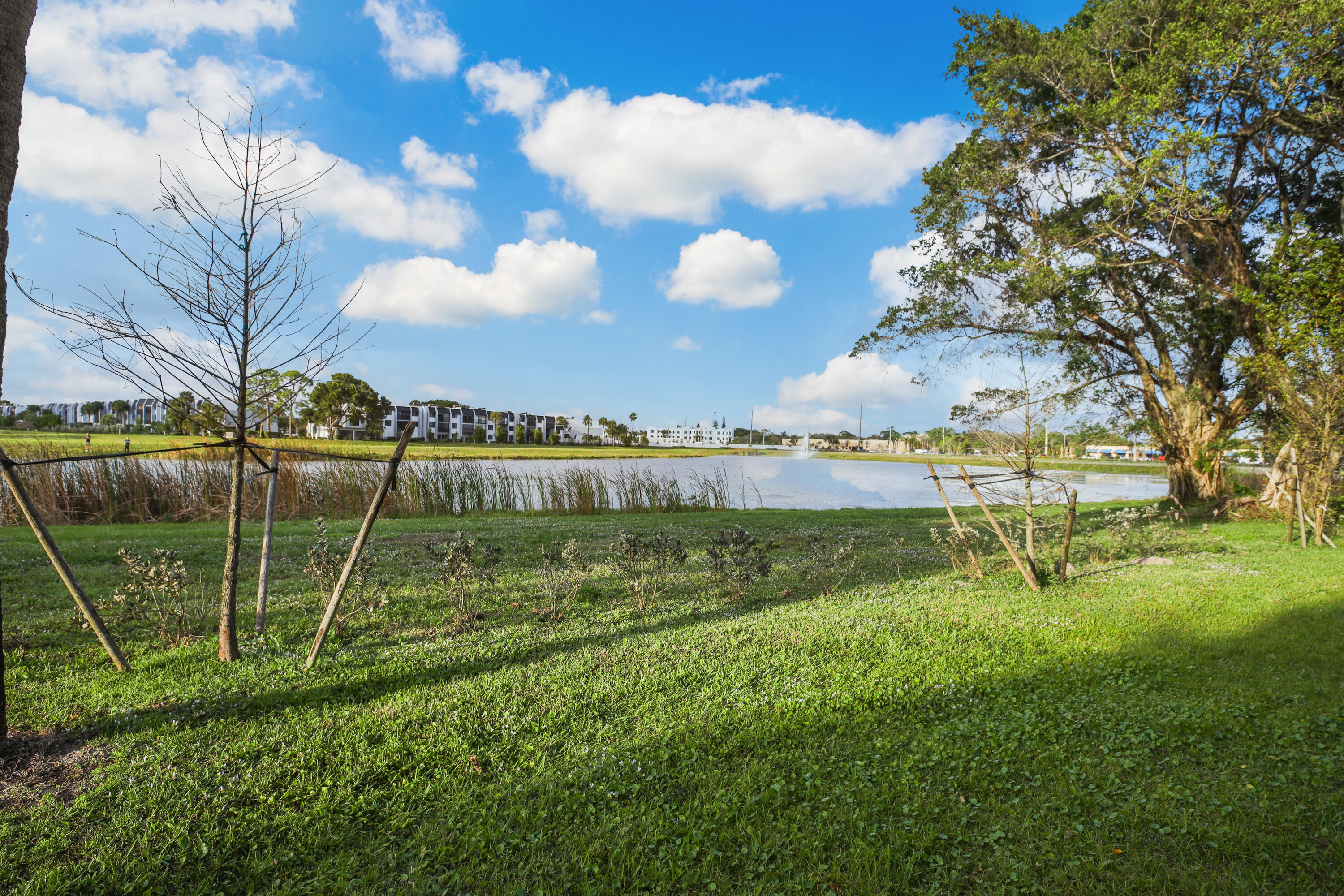 MLS #RX-11140091 image #20