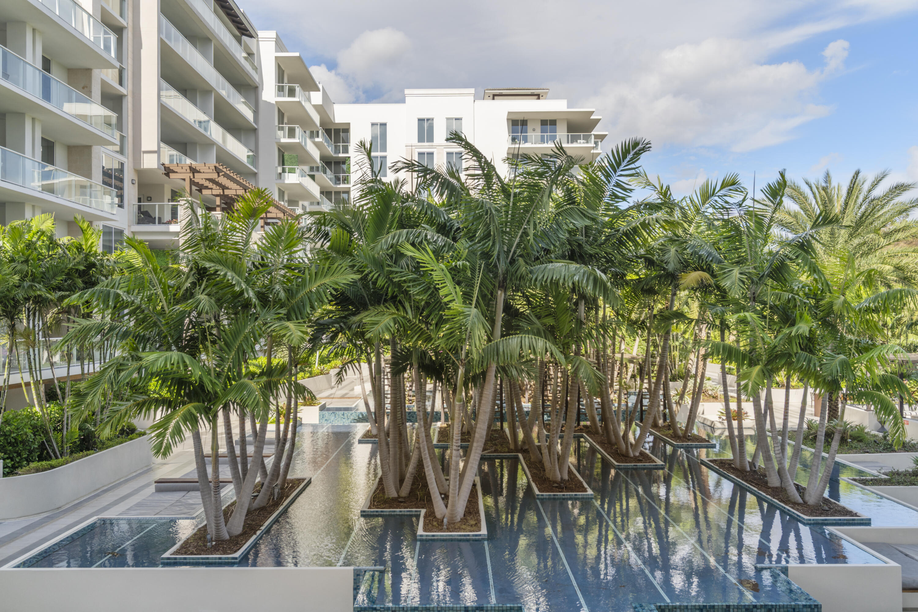 MLS #RX-11140184 image #6