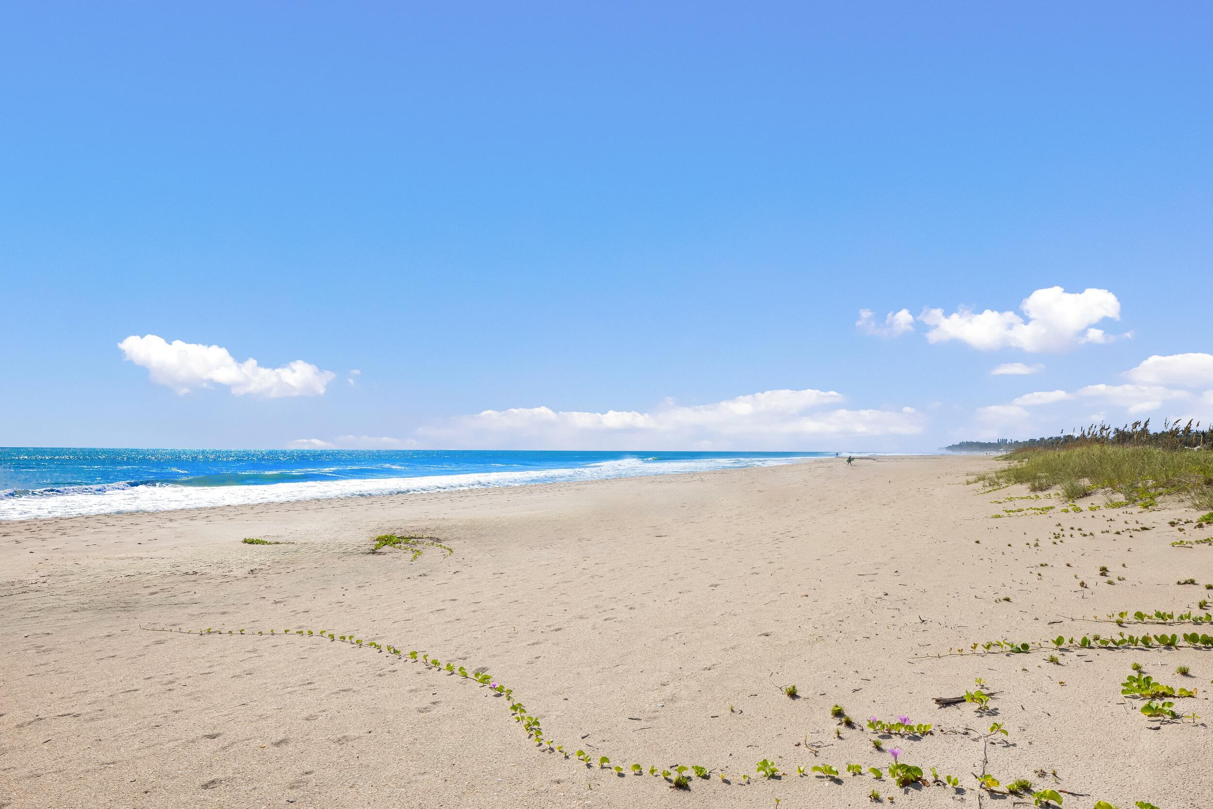 MLS #RX-11140358 image #9