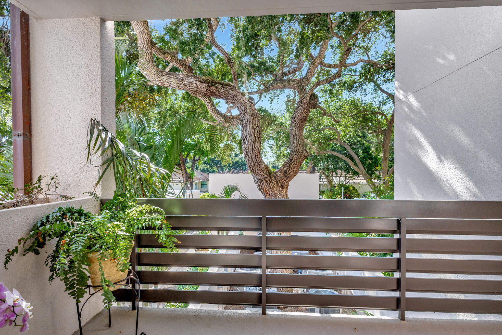 MLS #RX-11140379 image #5